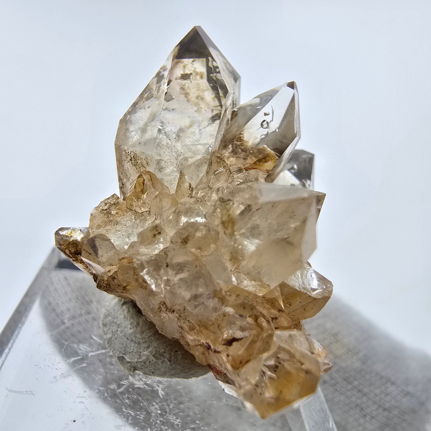 Phantom Rauchquarz DT Zepter Stufe Goboboseb, Namibia 23*21*25mm