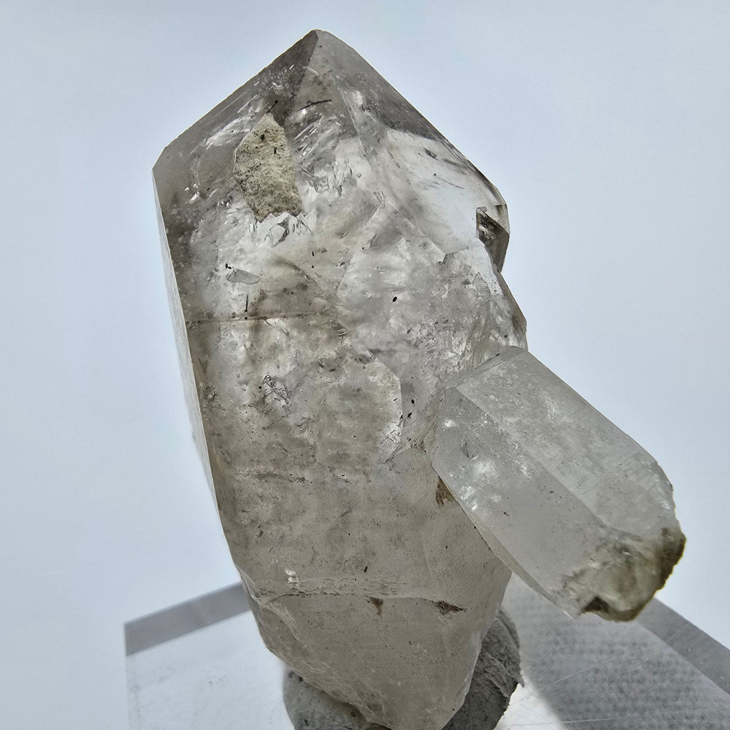 Großes Phantom Rauchquarz Zepter Goboboseb, Namibia 54*41*28mm