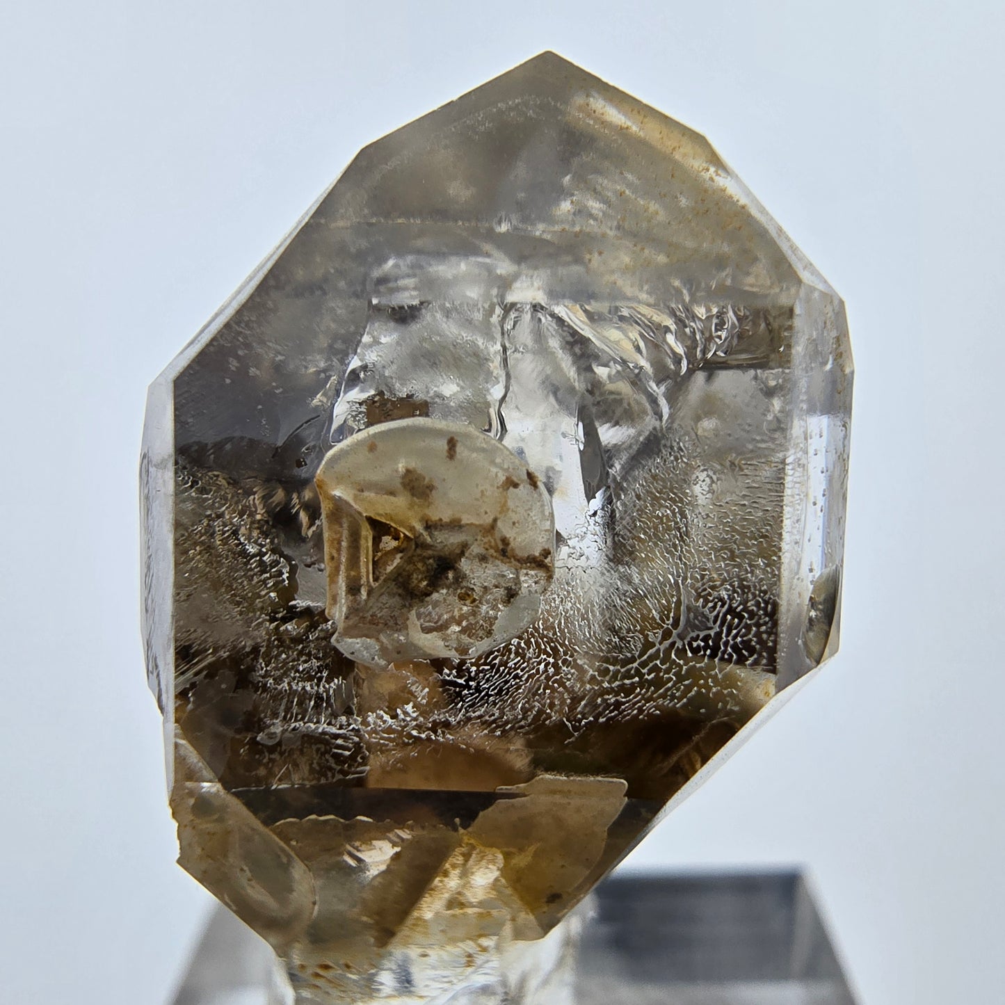 Enhydro Phantom Rauchquarz Fenster Zepter, 1x Blase Goboboseb Namibia 37*18*16mm