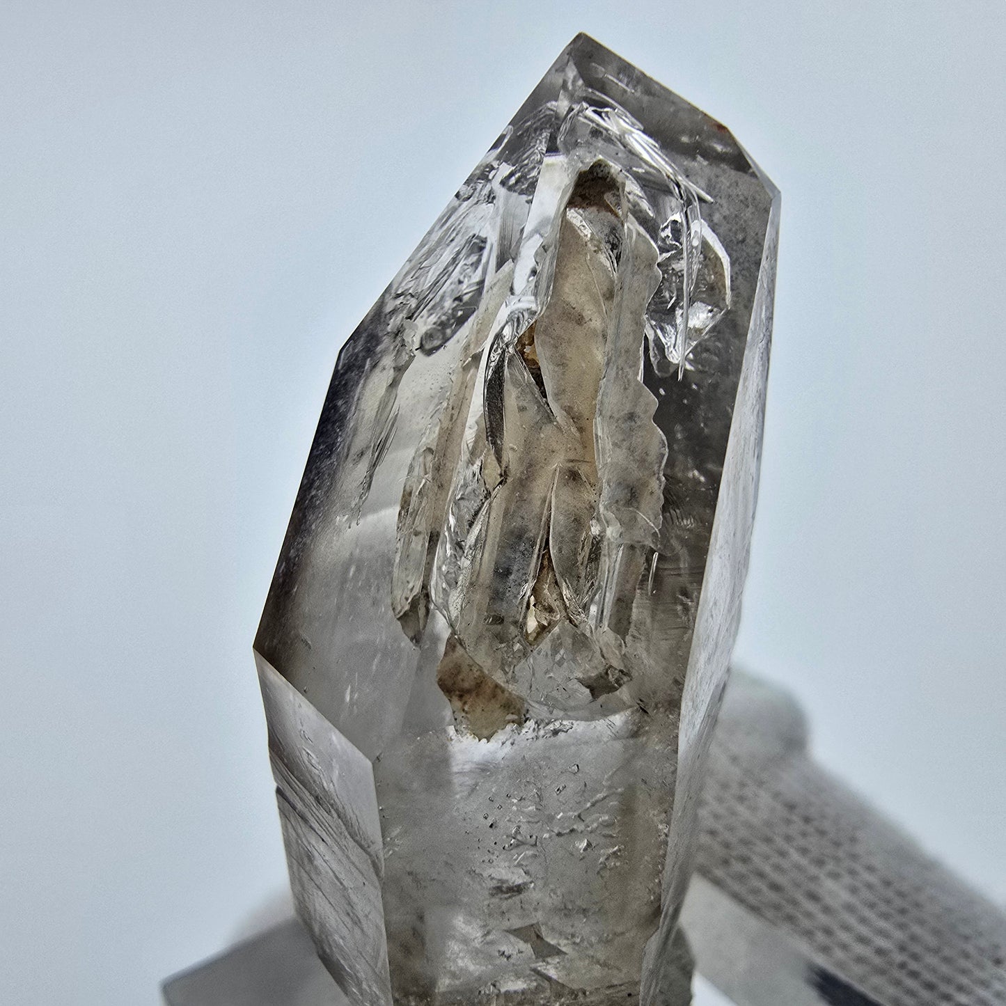 Sceptre Enhydro Phantom Smoky Quartz DT, 2x Bubble Goboboseb, Namibie 47 x 23 x 15 mm