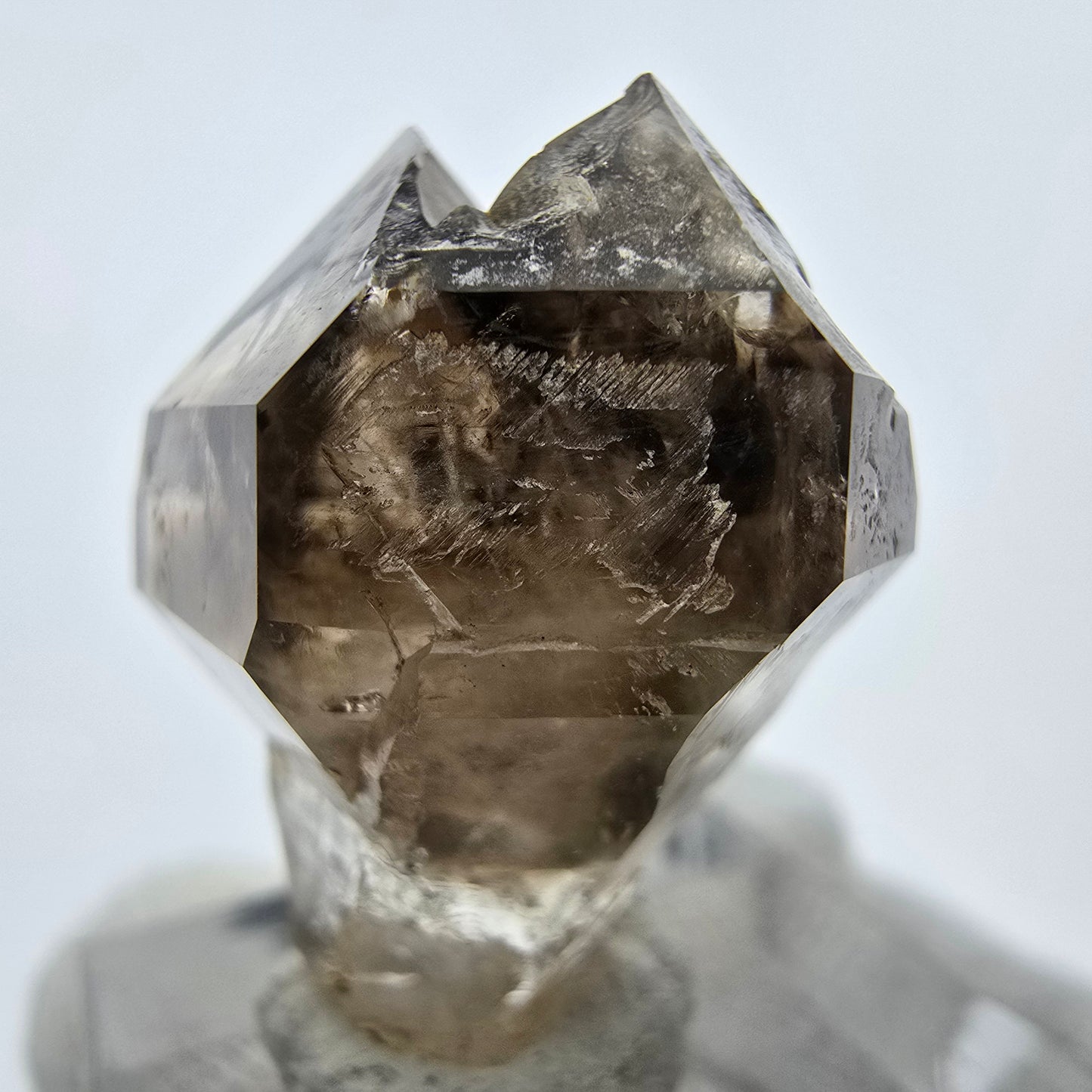 Enhydro Phantom Rauchquarz Zepter, 1x Blase Goboboseb, Namibia 30*26*17mm