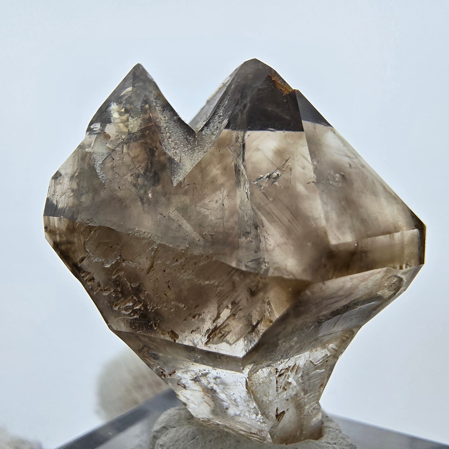 Enhydro Phantom Rauchquarz Zepter, 1x Blase Goboboseb, Namibia 30*26*17mm