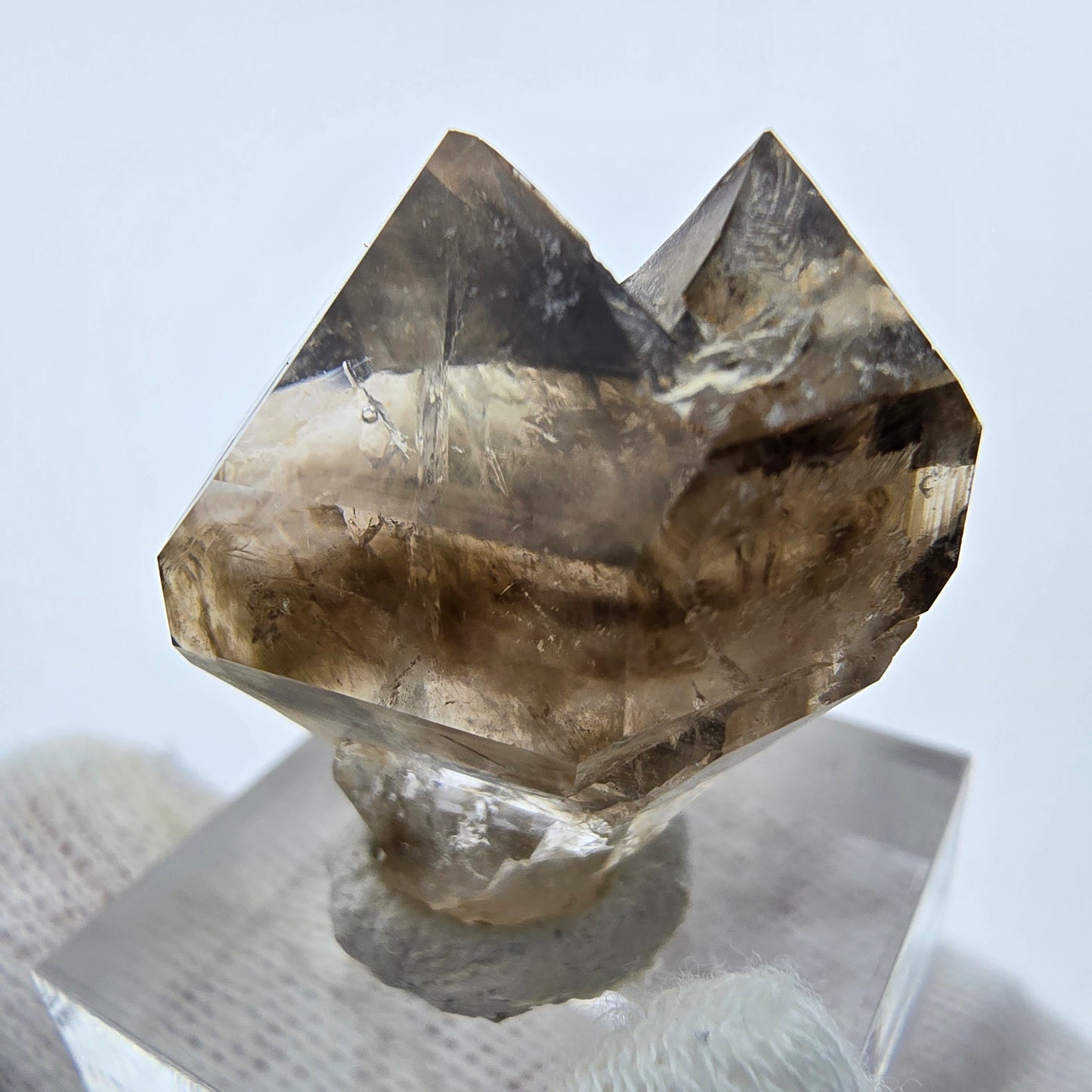 Enhydro Phantom Rauchquarz Zepter, 1x Blase Goboboseb, Namibia 30*26*17mm
