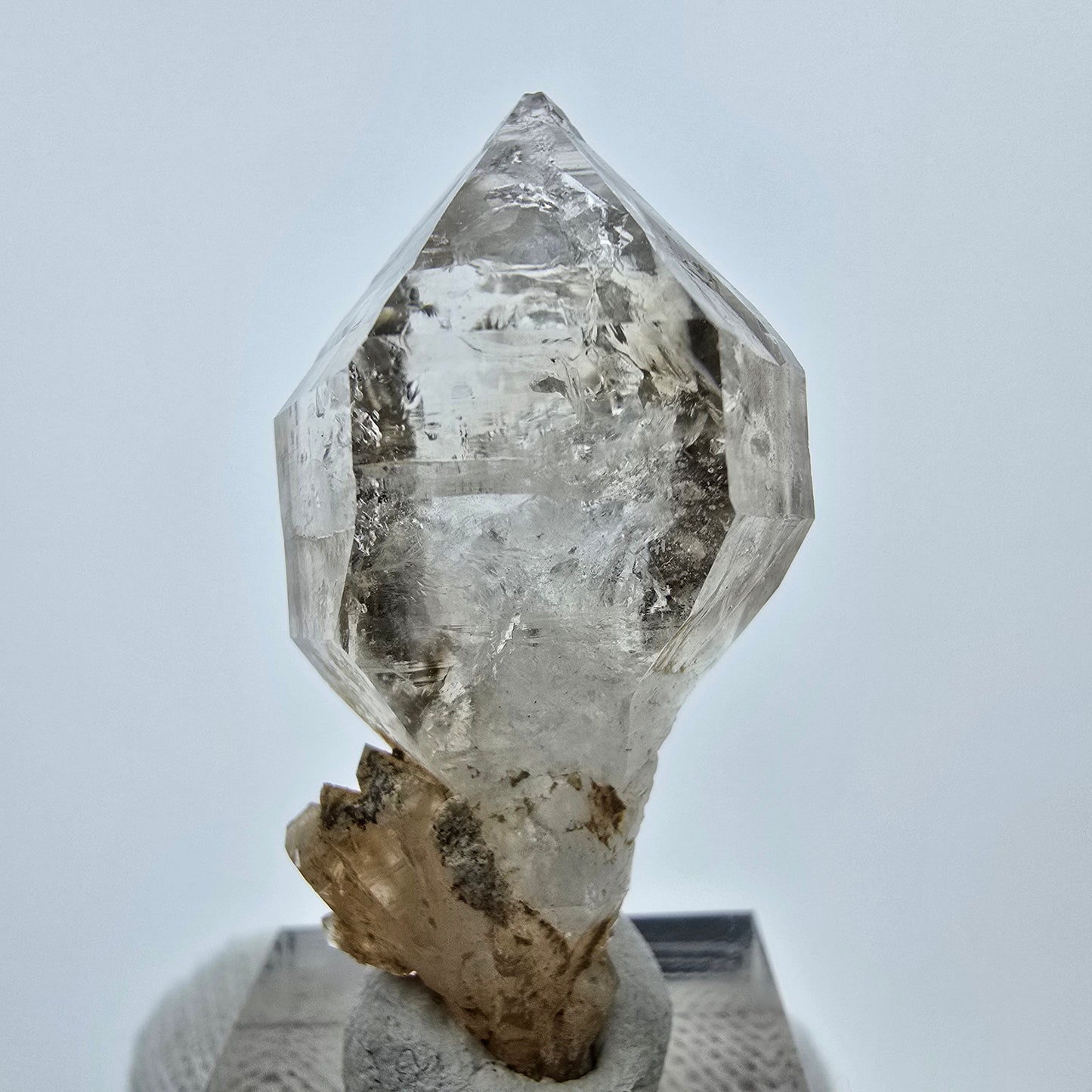 Enhydro Phantom Rauchquarz Zepter, 1x Blase Goboboseb, Namibia 47*20*19mm