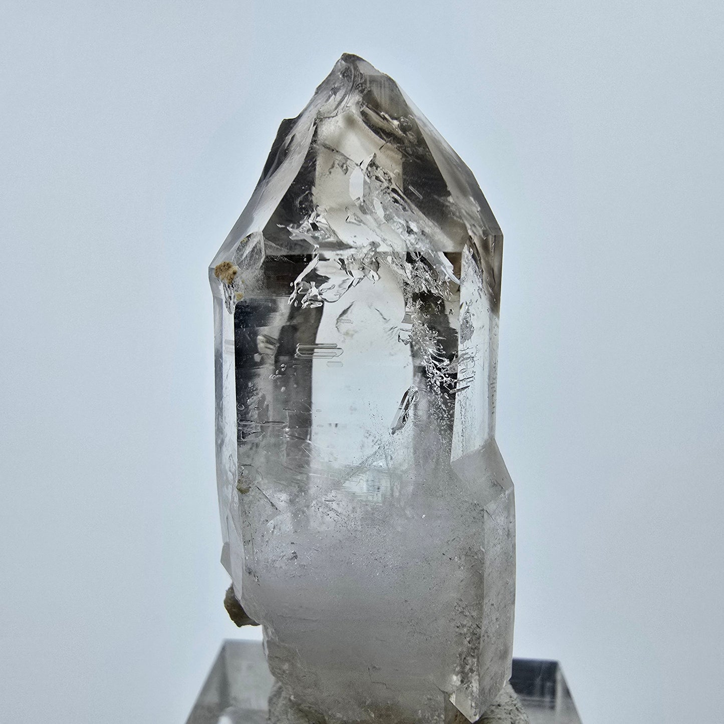 Enhydro Phantom Rauchquarz Zepter, 1x Blase Goboboseb, Namibia 47*17*14mm