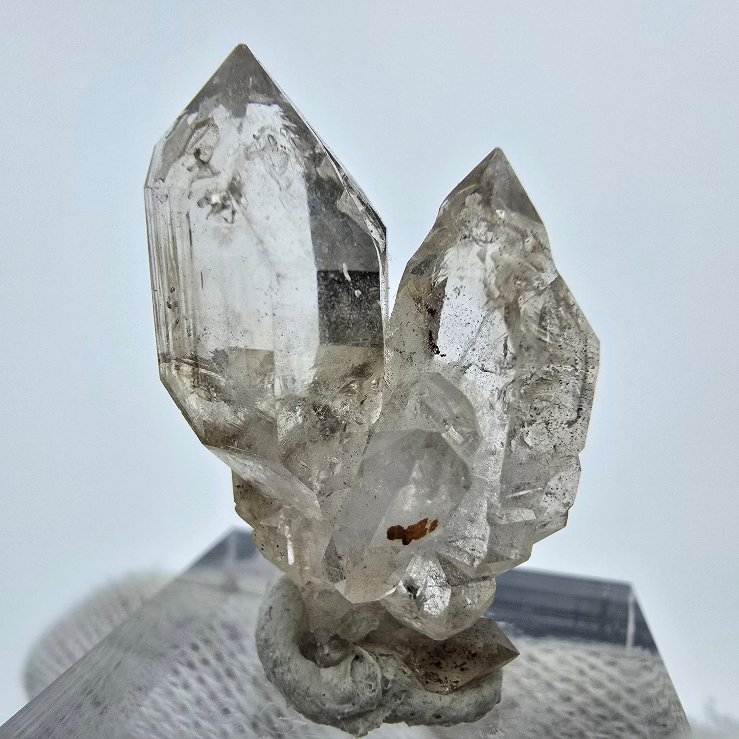 Klare Phantom Rauchquarz DT Zepter Stufe Goboboseb, Namibia 30*19*15mm