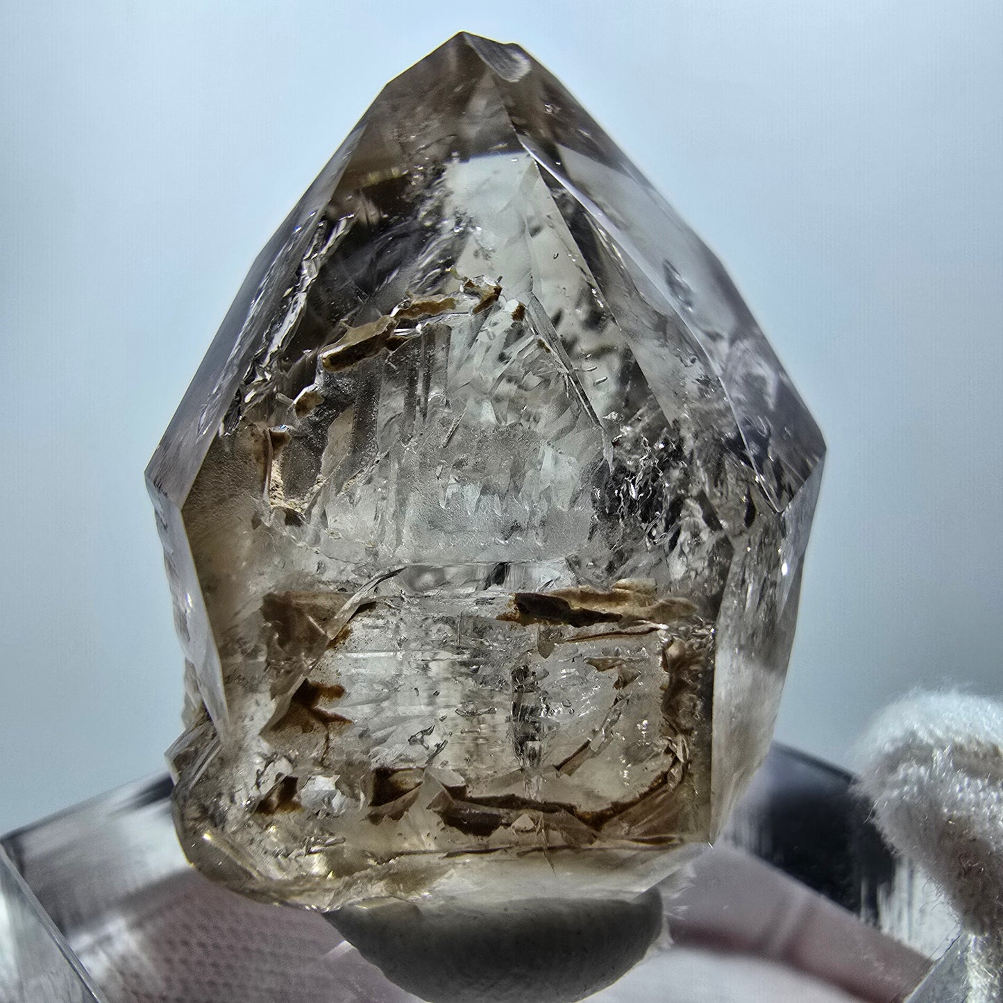 Enhydro Phantom Rauchquarz Zepter, 1x Blase Goboboseb, Namibia 32*23*18mm