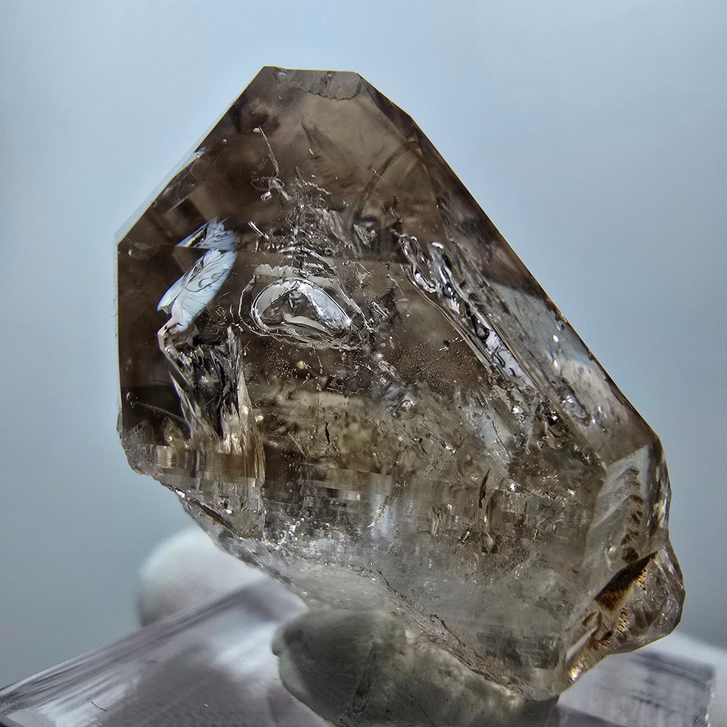 Enhydro Phantom Rauchquarz Zepter, 1x Blase Goboboseb, Namibia 32*23*18mm