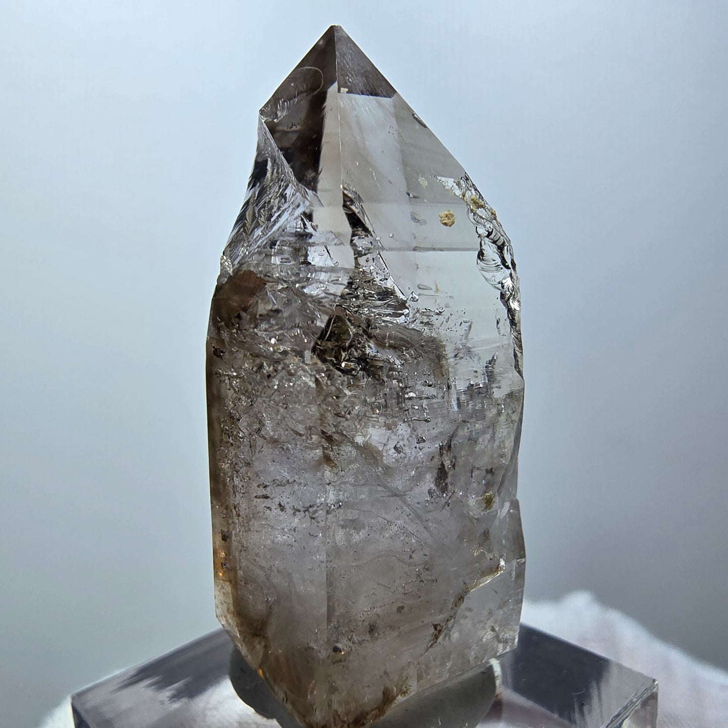 Klarer Phantom Rauchquarz DT Zepter Kristall Goboboseb, Namibia 43*20*18mm