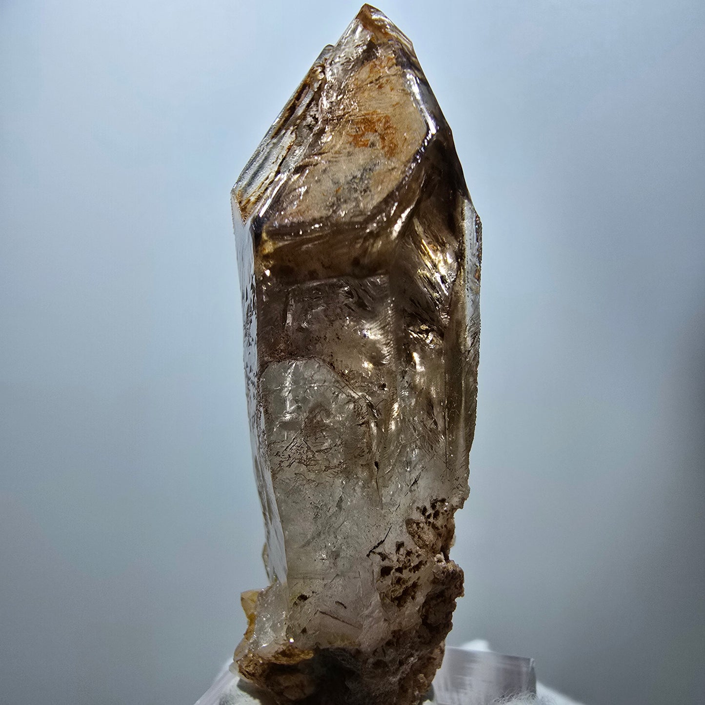 Enhydro Phantom Rauchquarz Fenster Zepter, 3x Blase Goboboseb Namibia 60*22*17mm