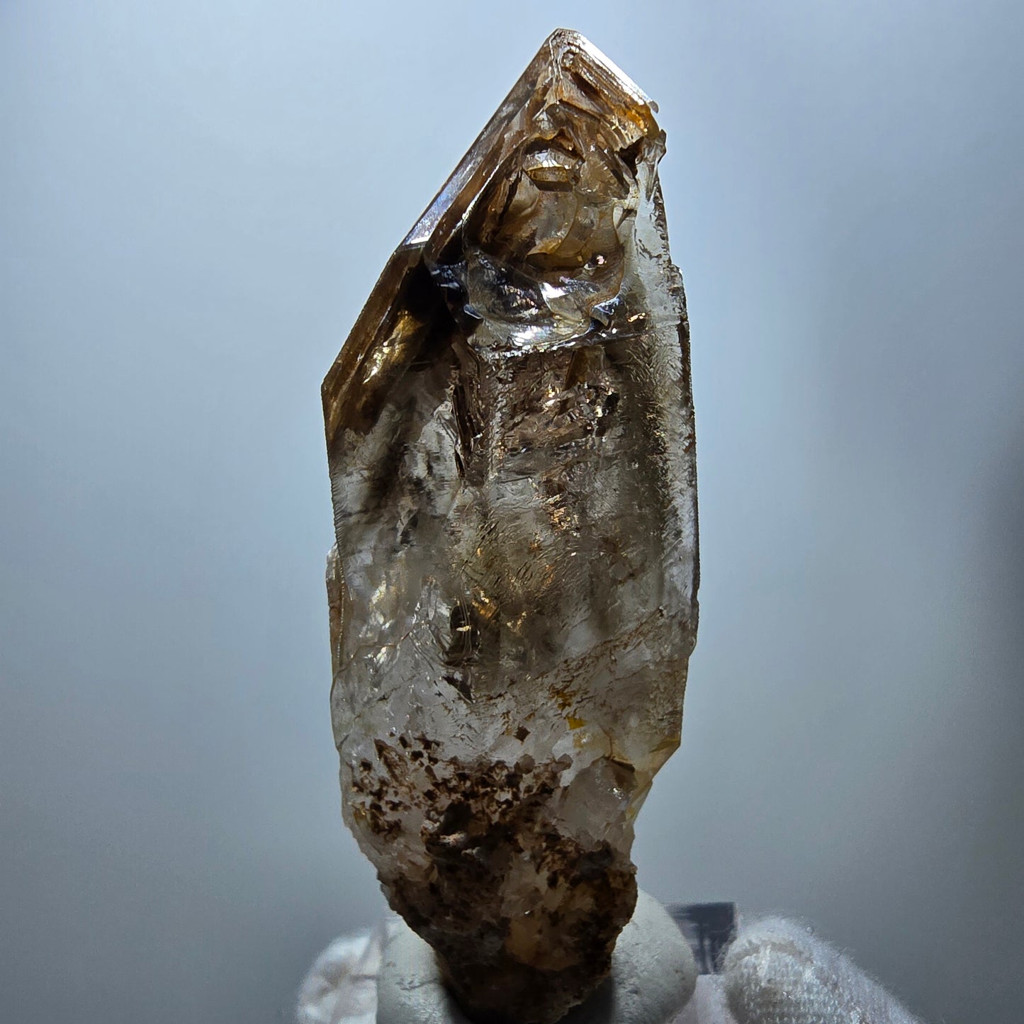 Enhydro Phantom Rauchquarz Fenster Zepter, 3x Blase Goboboseb Namibia 60*22*17mm