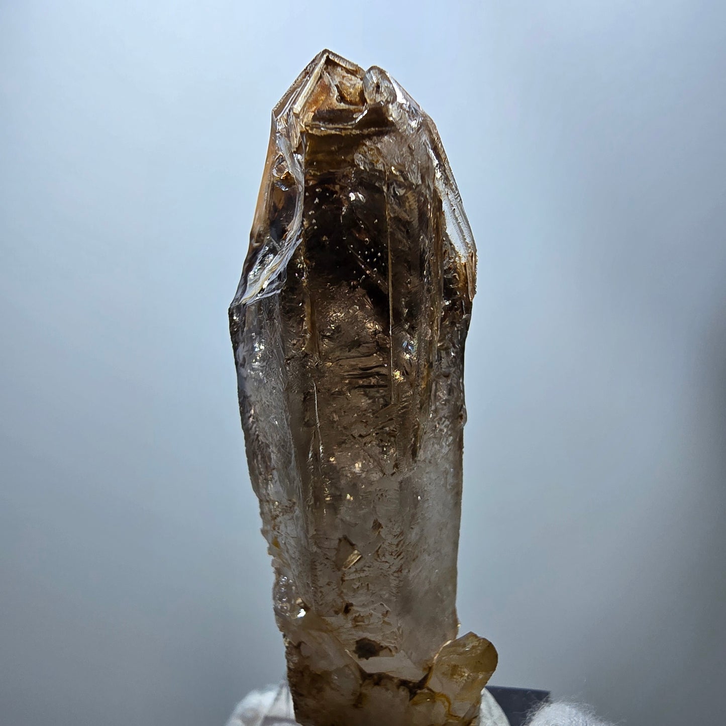 Enhydro Phantom Rauchquarz Fenster Zepter, 3x Blase Goboboseb Namibia 60*22*17mm