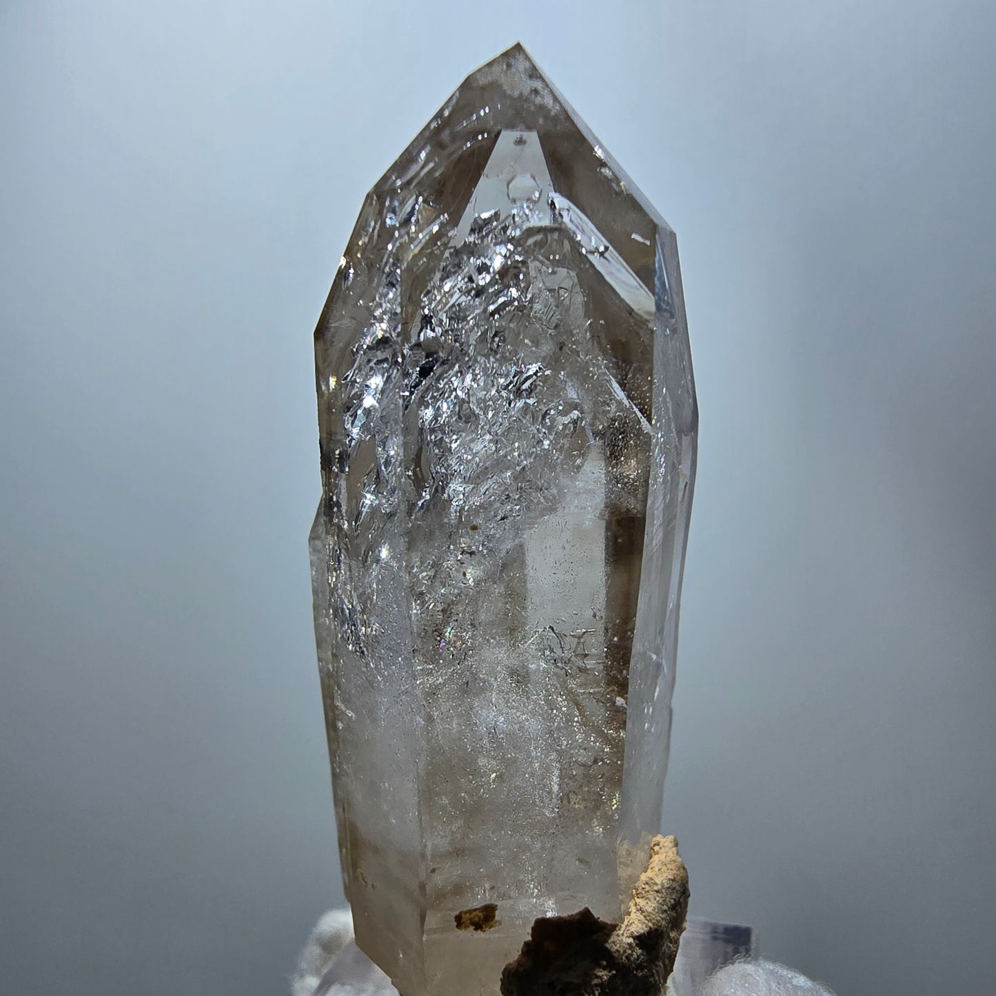 Enhydro Phantom Rauchquarz Fenster Zepter, 1x Blase Goboboseb Namibia 60*27*21mm
