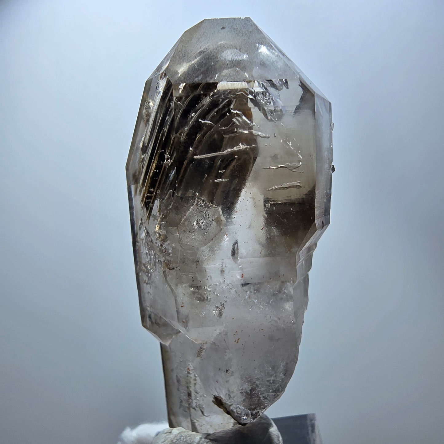 Phantom Rauchquarz DT Fenster Zepter Kristall Goboboseb, Namibia 63*26*24mm