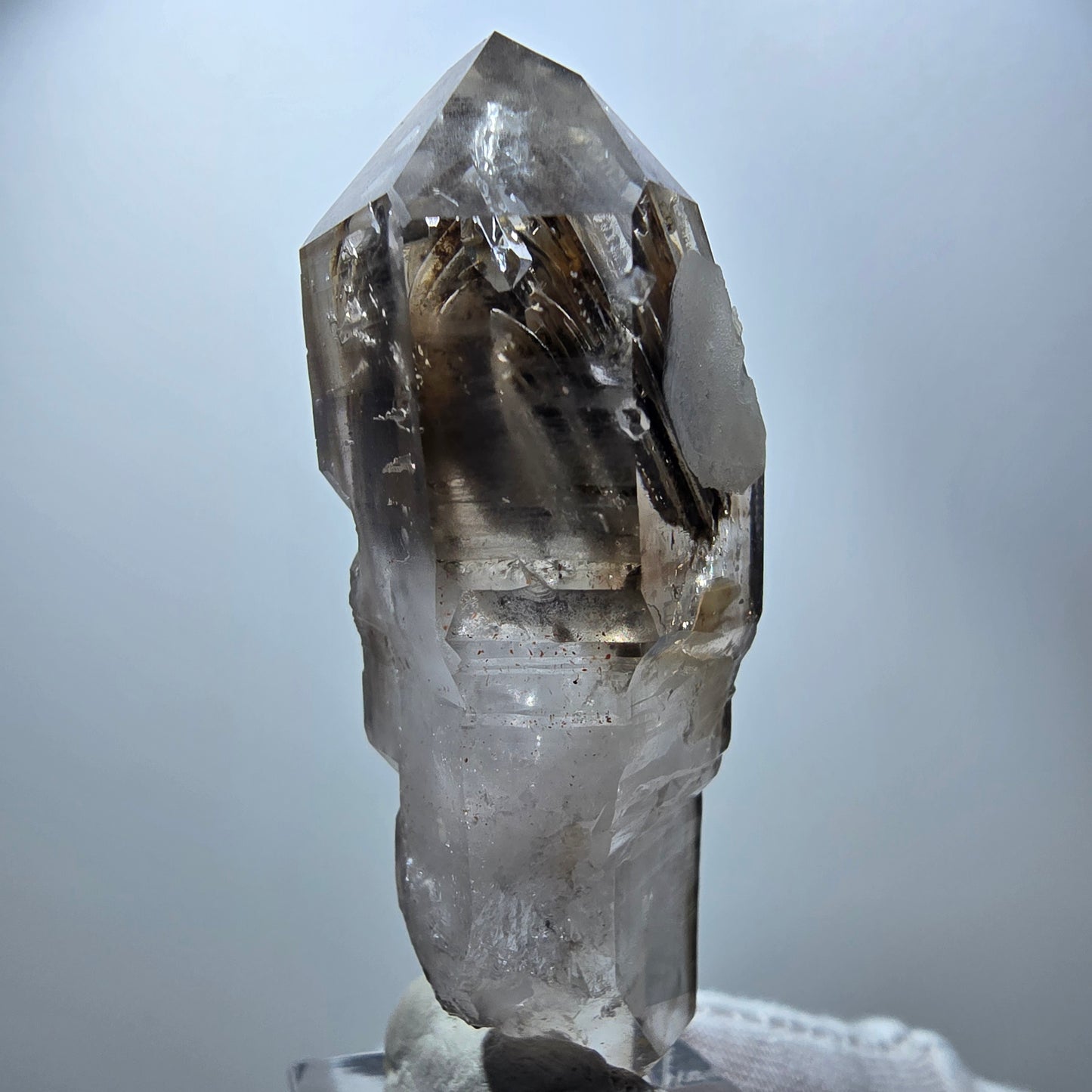Phantom Rauchquarz DT Fenster Zepter Kristall Goboboseb, Namibia 63*26*24mm