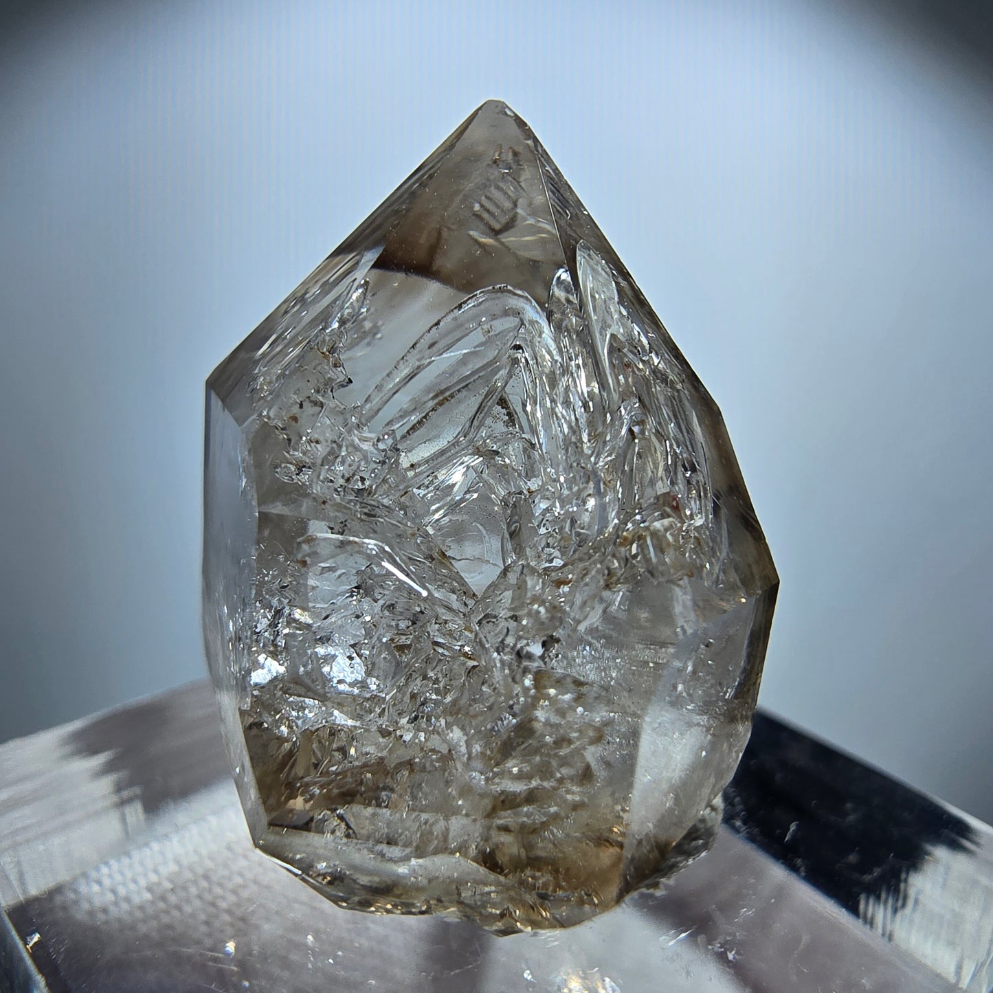 Enhydro Phantom Rauchquarz Fenster DT Zepter Goboboseb, Namibia 25*20*14mm
