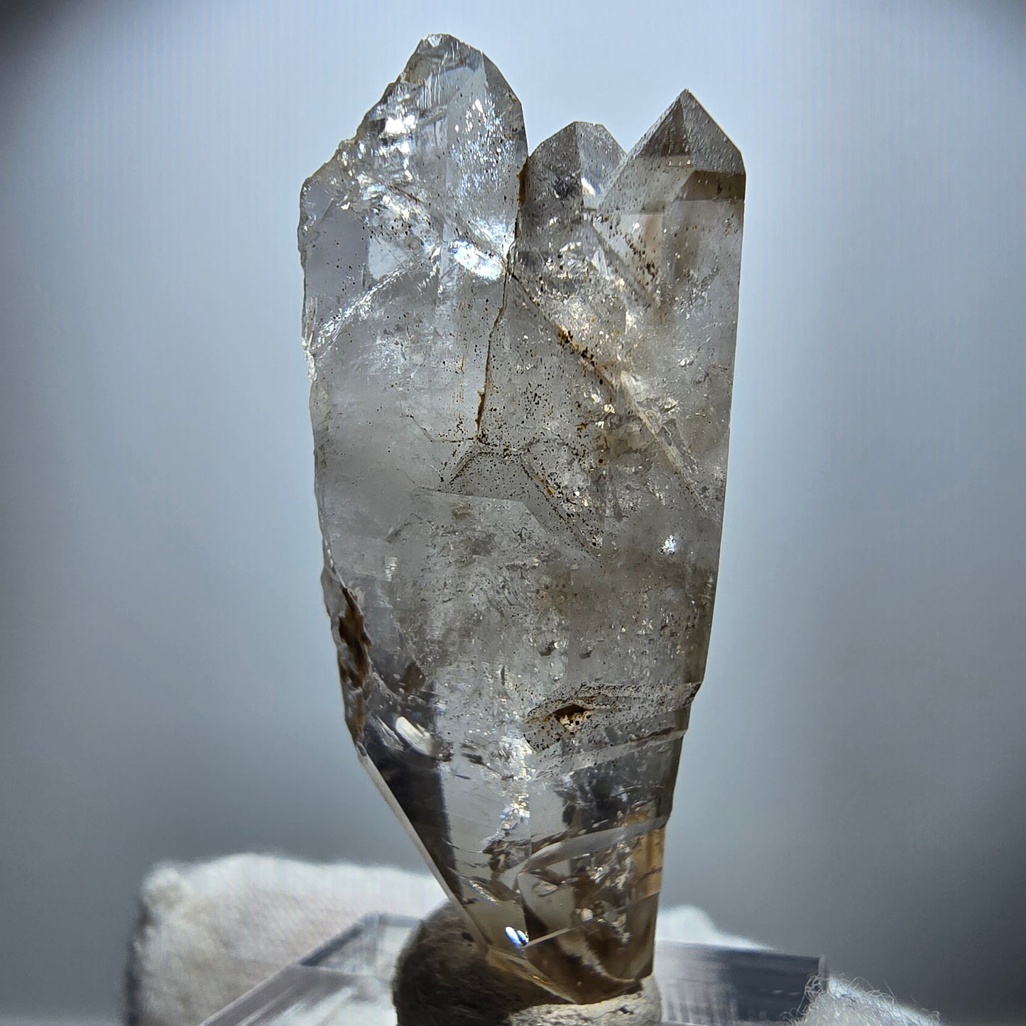 Klarer Phantom Rauchquarz DT Zepter Kristall Goboboseb, Namibia 45*18*12mm