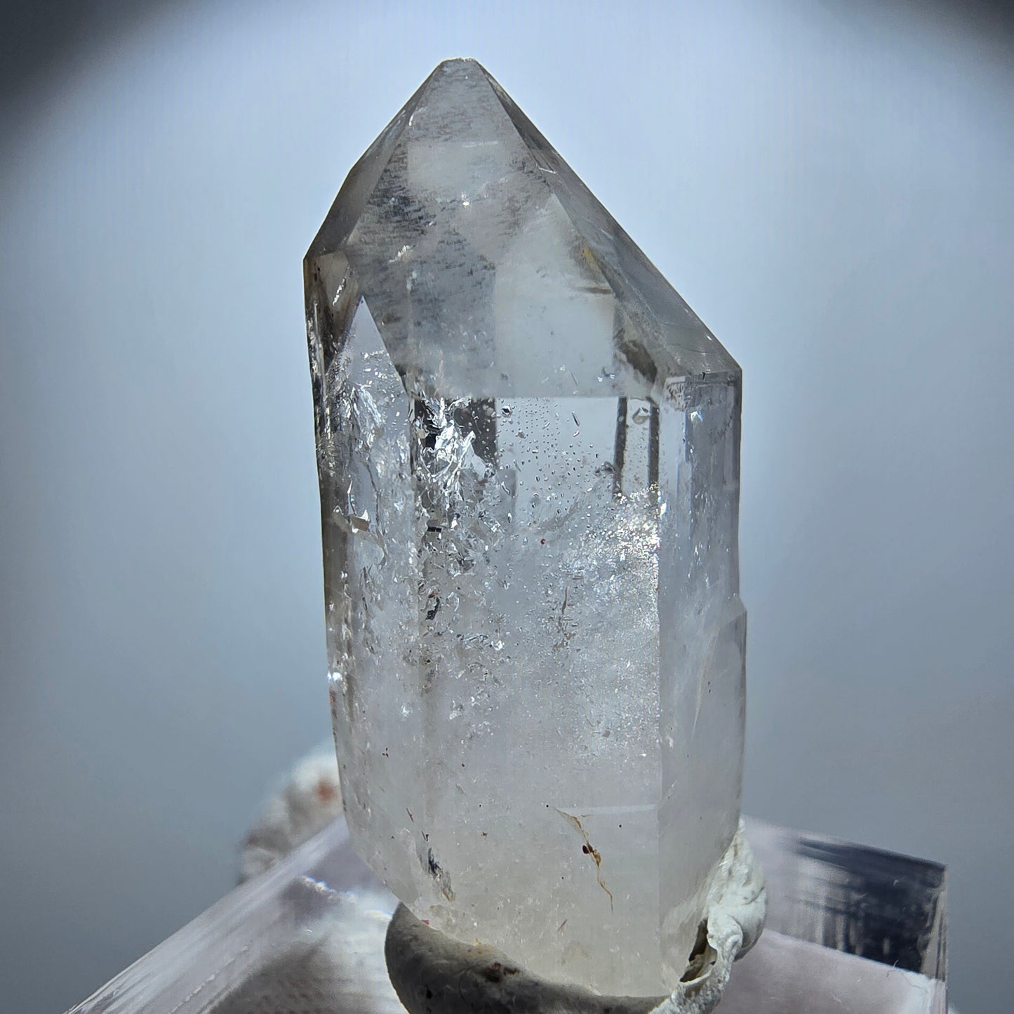 Enhydro Phantom Rauchquarz Zepter, 1x Blase Goboboseb, Namibia 34*19*13mm