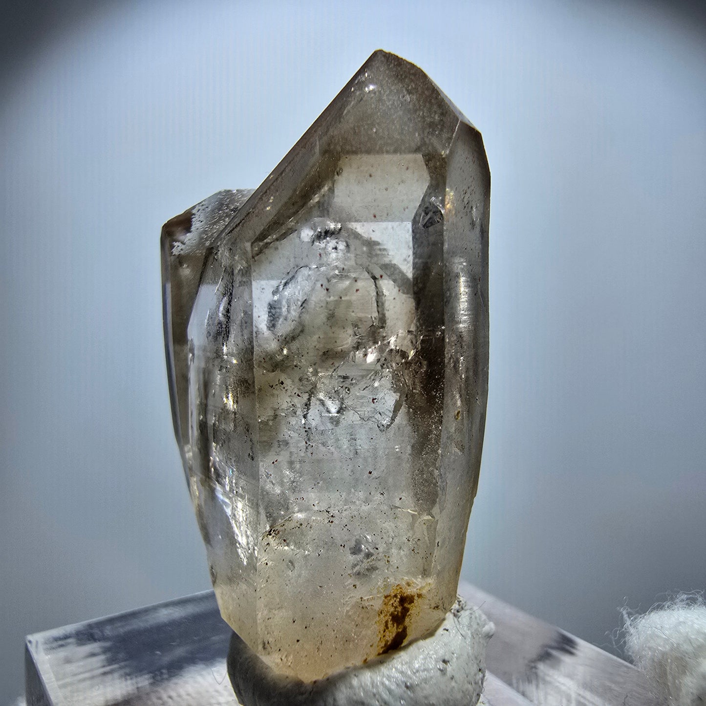 Enhydro Phantom Rauchquarz Zepter Stufe, 1x Blase Goboboseb, Namibia 33*19*15mm