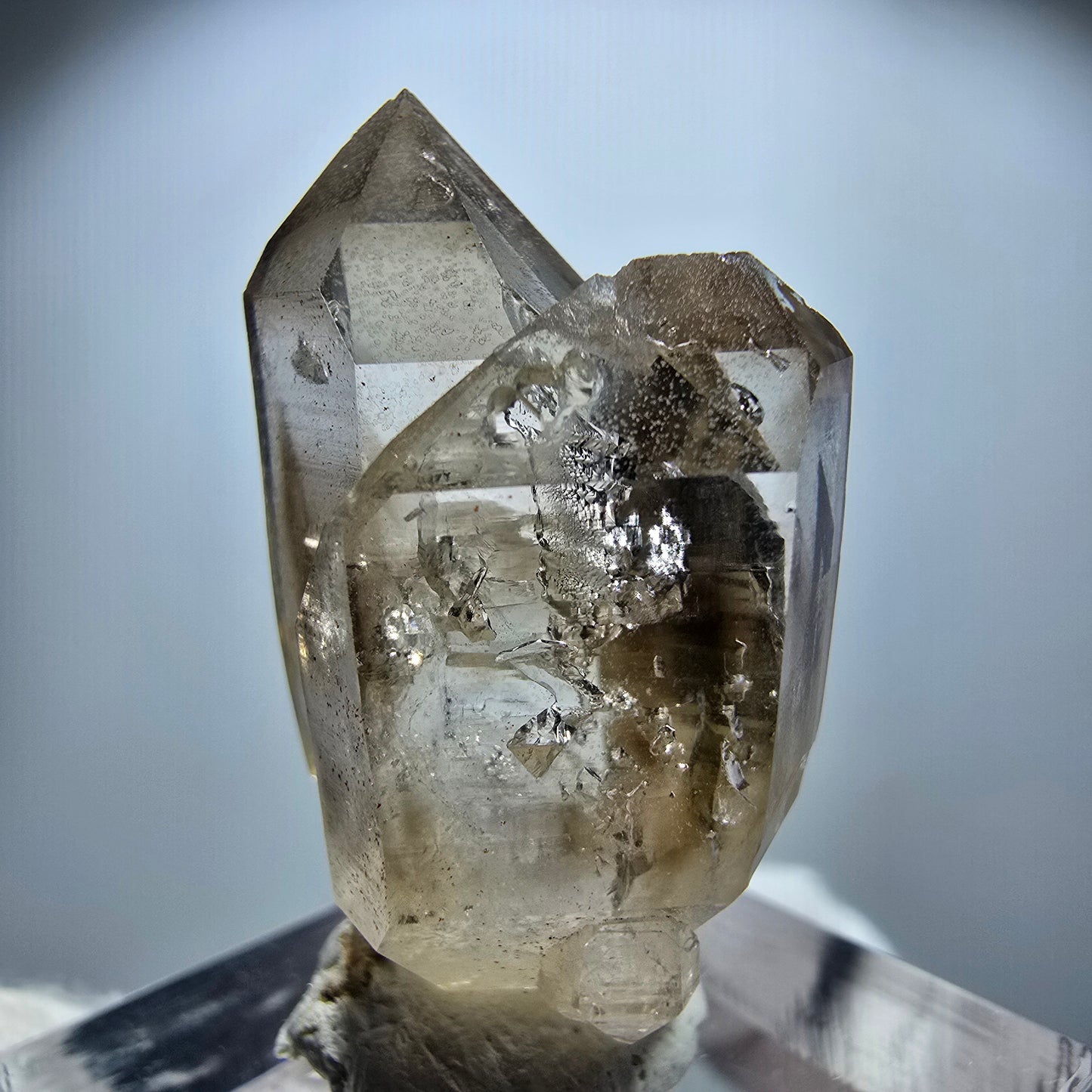 Enhydro Phantom Rauchquarz Zepter Stufe, 1x Blase Goboboseb, Namibia 33*19*15mm