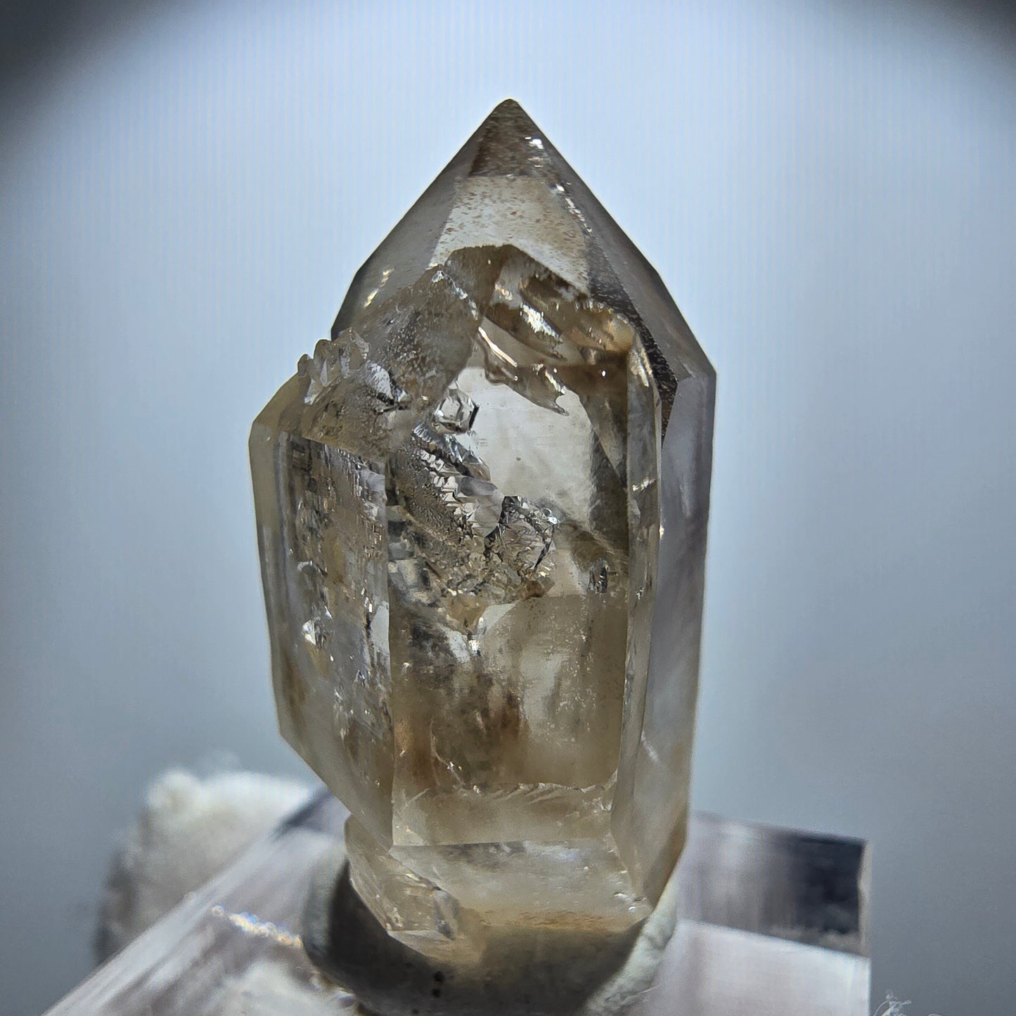 Enhydro Phantom Rauchquarz Zepter Stufe, 1x Blase Goboboseb, Namibia 33*19*15mm