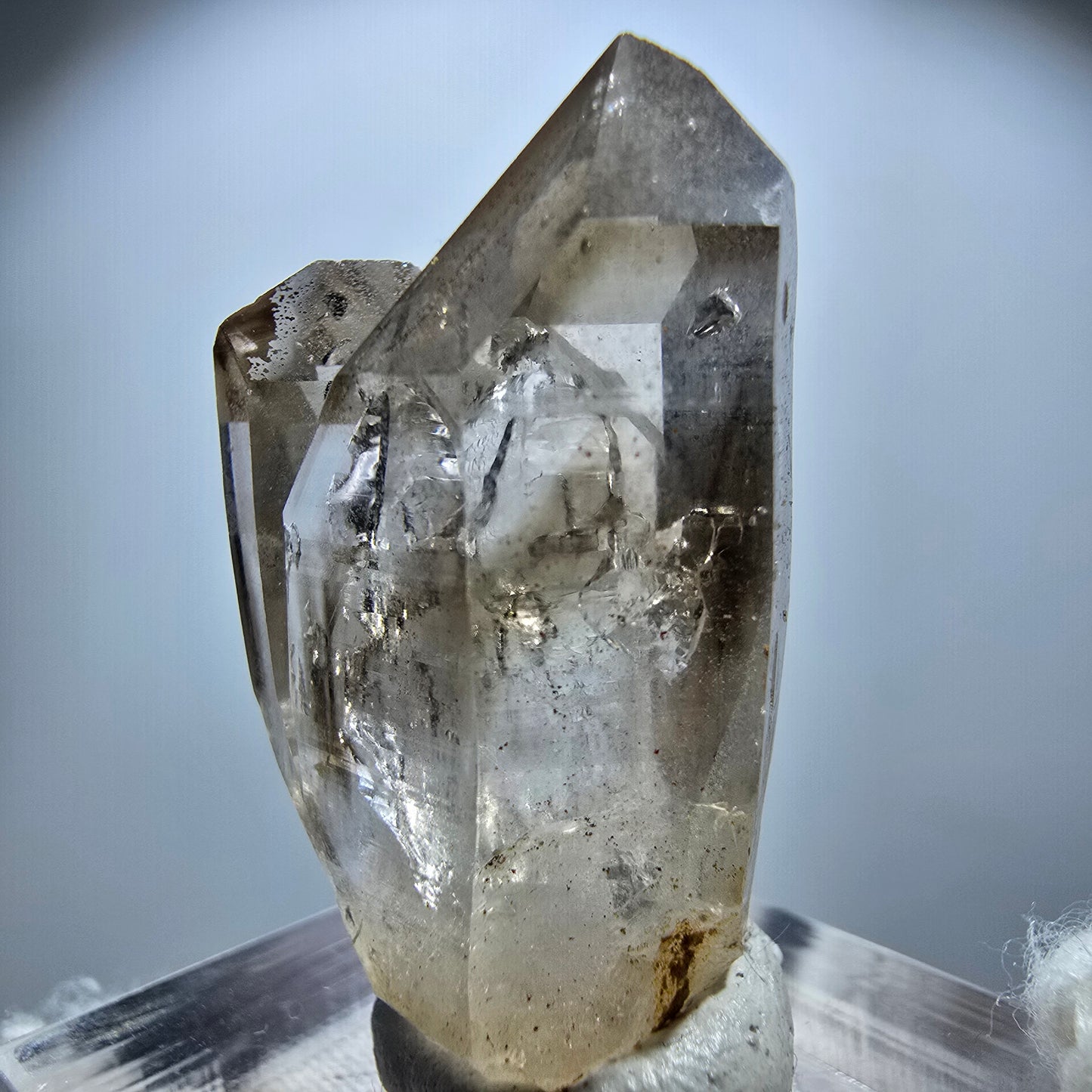 Enhydro Phantom Rauchquarz Zepter Stufe, 1x Blase Goboboseb, Namibia 33*19*15mm