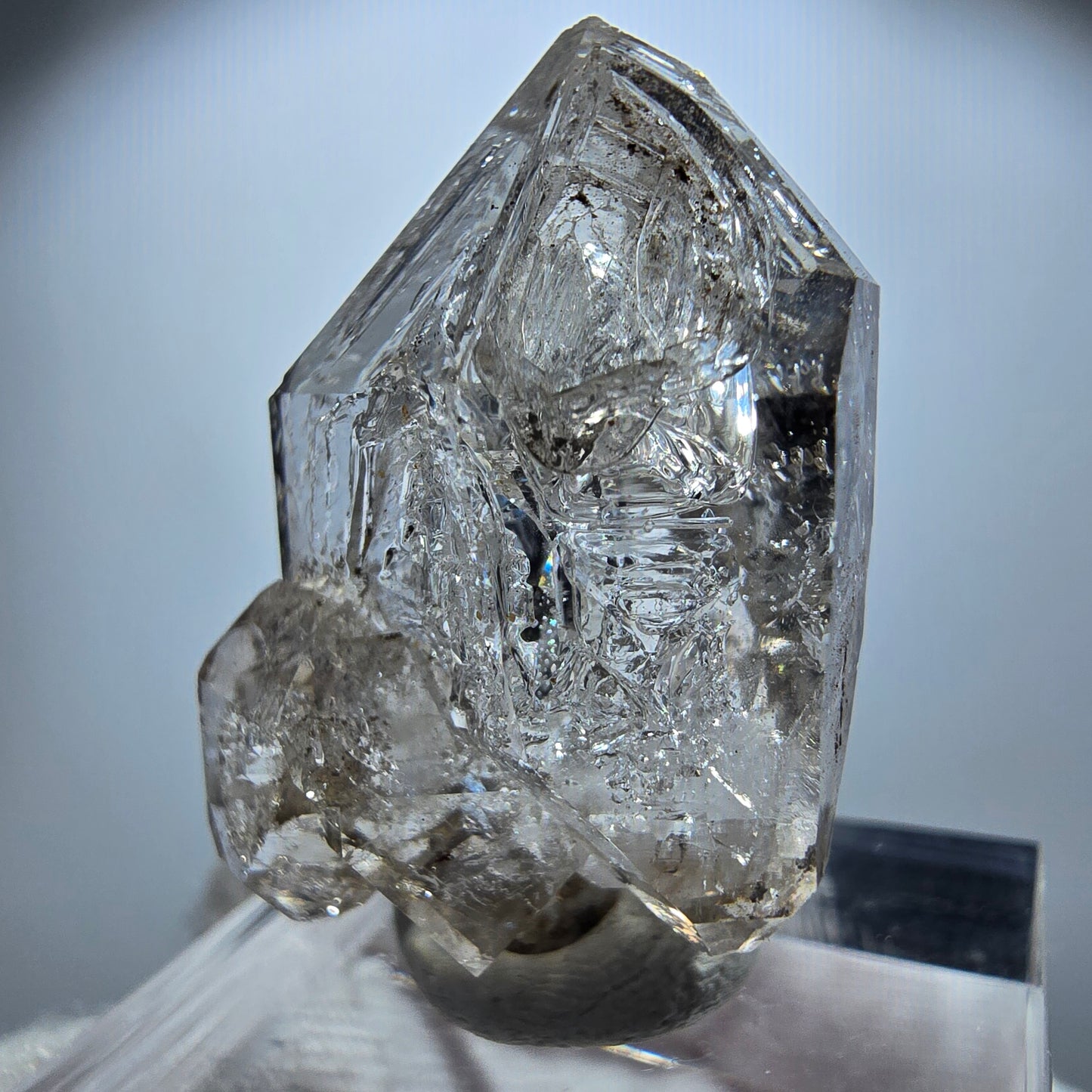 Enhydro Phantom Rauchquarz Fenster DT Zepter Goboboseb, Namibia 31*20*16mm