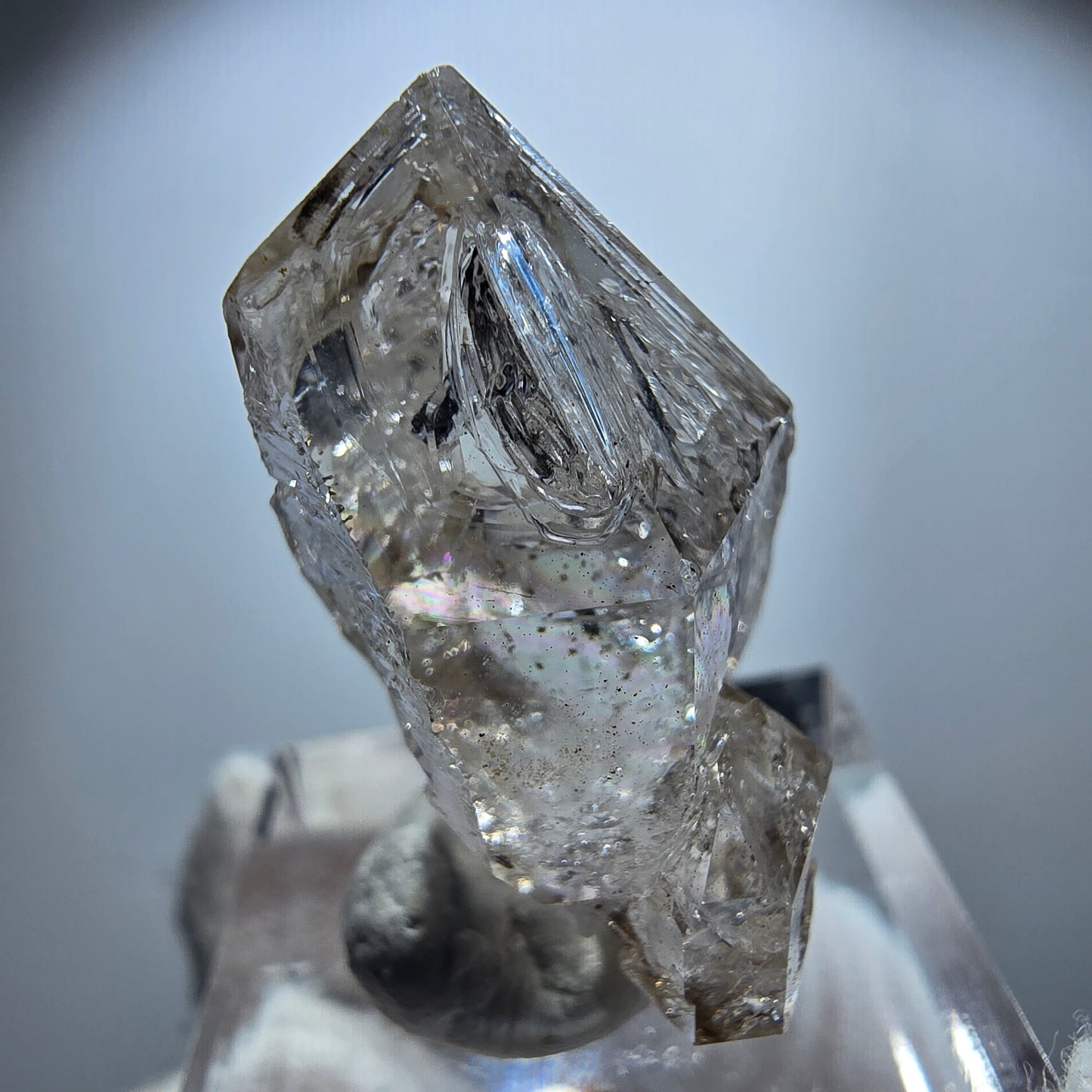 Enhydro Phantom Rauchquarz Fenster DT Zepter Goboboseb, Namibia 31*20*16mm