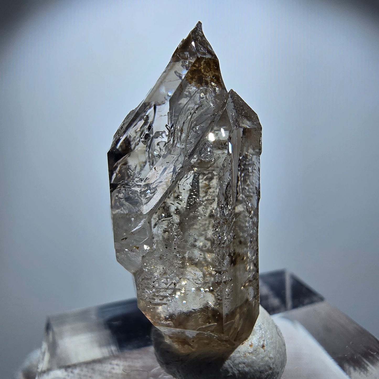 Enhydro Rauchquarz Skelett DT Zepter, 2x Blase Goboboseb, Namibia 26*13*11mm