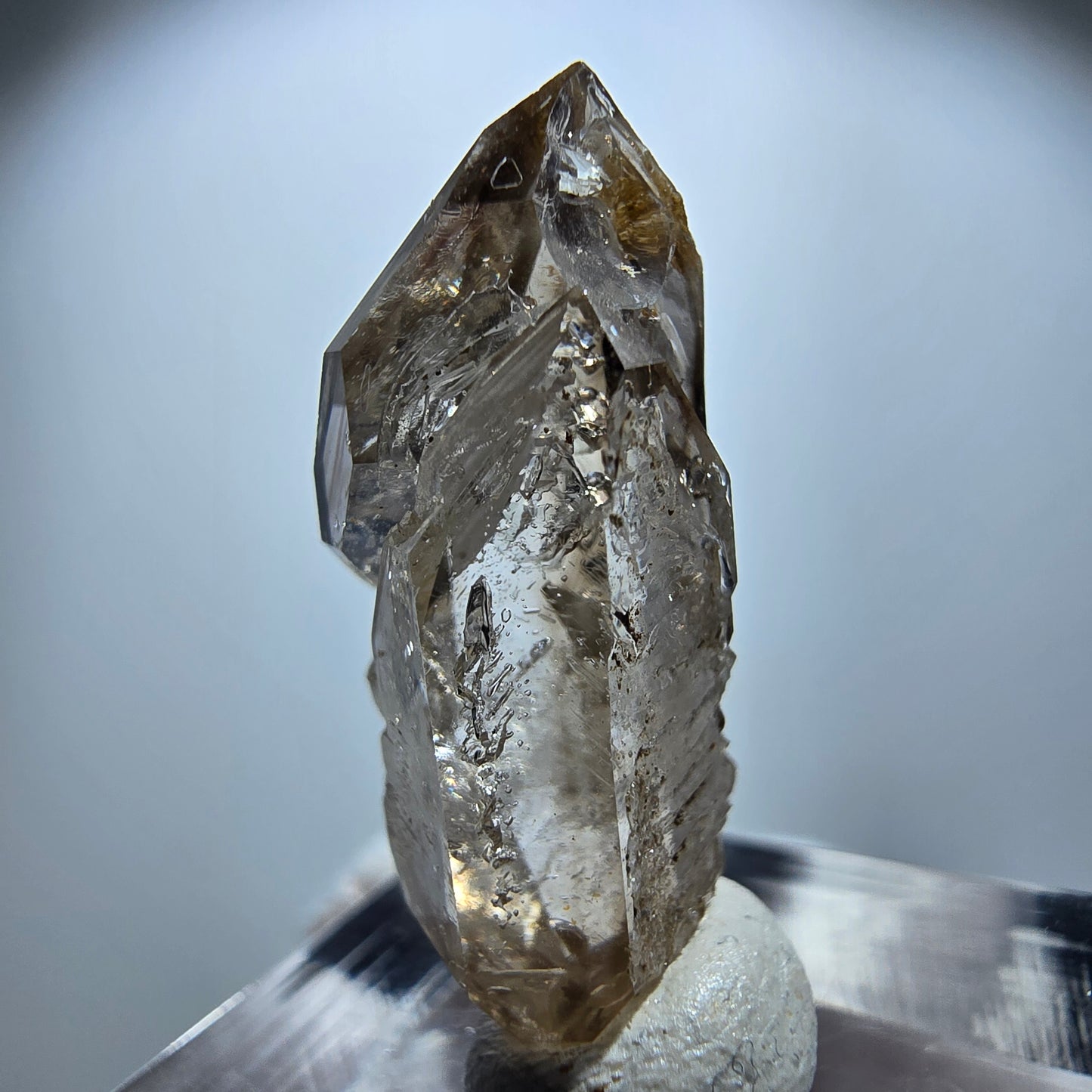 Enhydro Rauchquarz Skelett DT Zepter, 2x Blase Goboboseb, Namibia 26*13*11mm