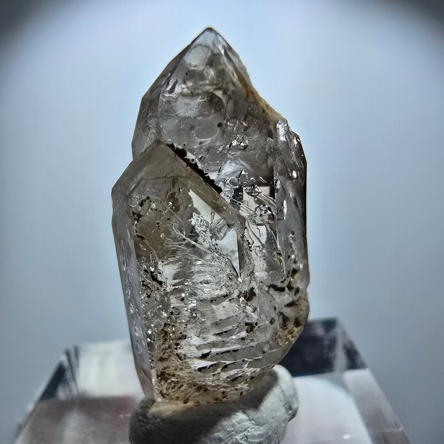 Enhydro Rauchquarz Skelett DT Zepter, 2x Blase Goboboseb, Namibia 26*13*11mm