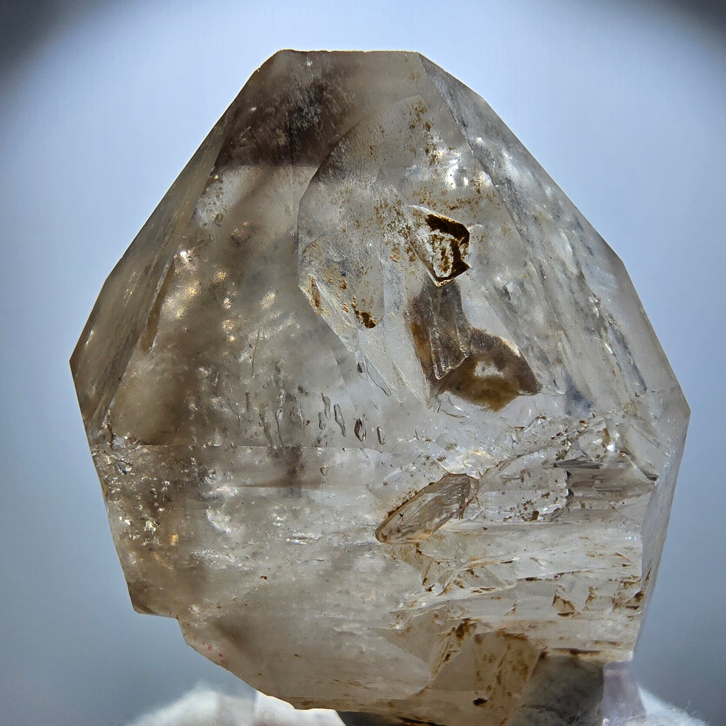 Enhydro Phantom Rauchquarz Skelett Zepter, 1x Blase Goboboseb Namibia 45*37*20mm