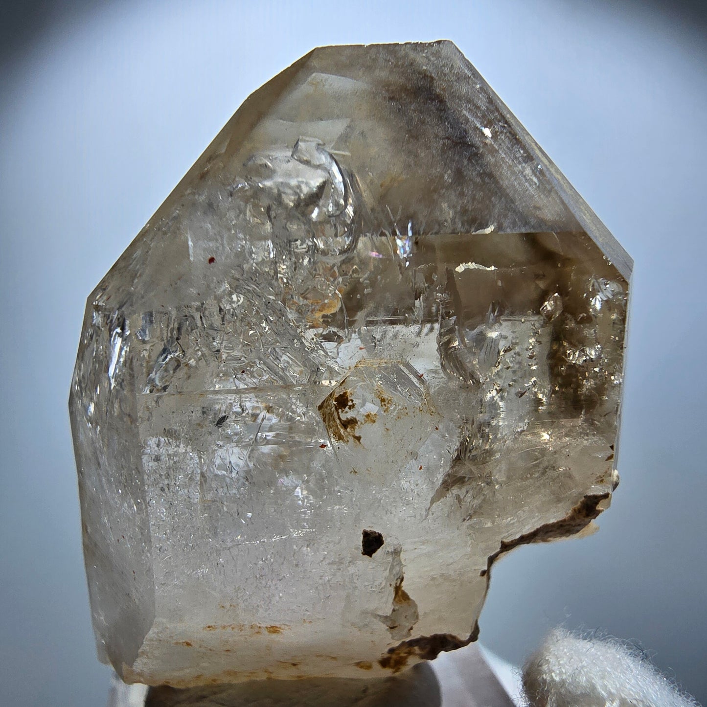 Enhydro Phantom Rauchquarz Skelett Zepter, 1x Blase Goboboseb Namibia 45*37*20mm