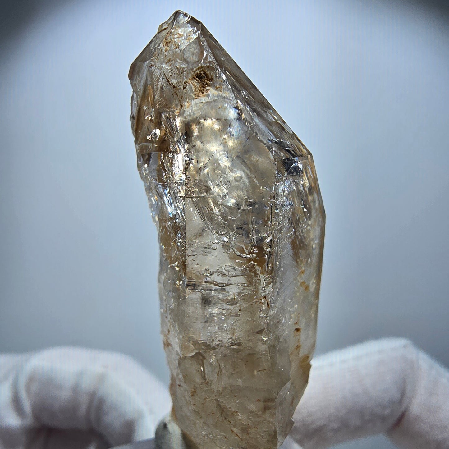 Enhydro Phantom Rauchquarz Fenster Zepter, 1x Blase Goboboseb Namibia 64*28*22mm