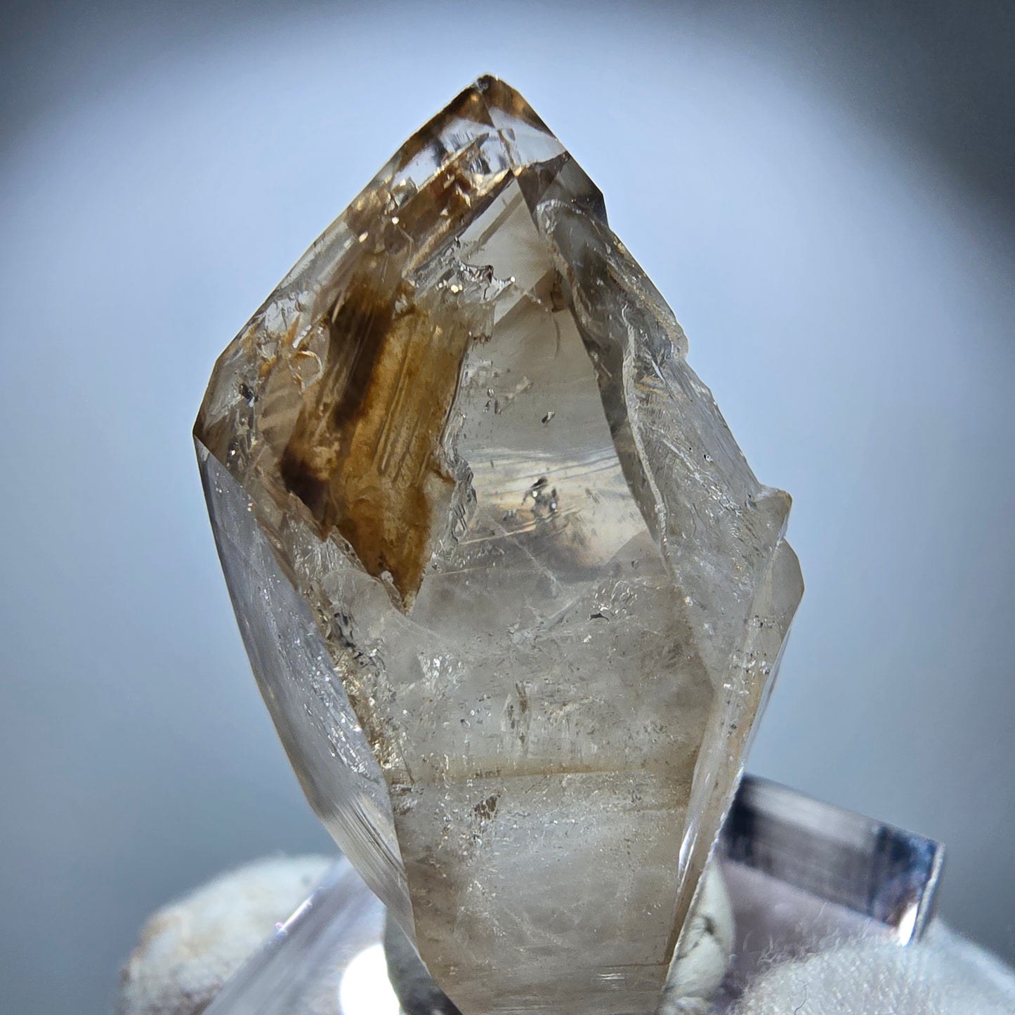 Enhydro Phantom Rauchquarz Fenster DT Zepter Goboboseb, Namibia 41*22*17mm