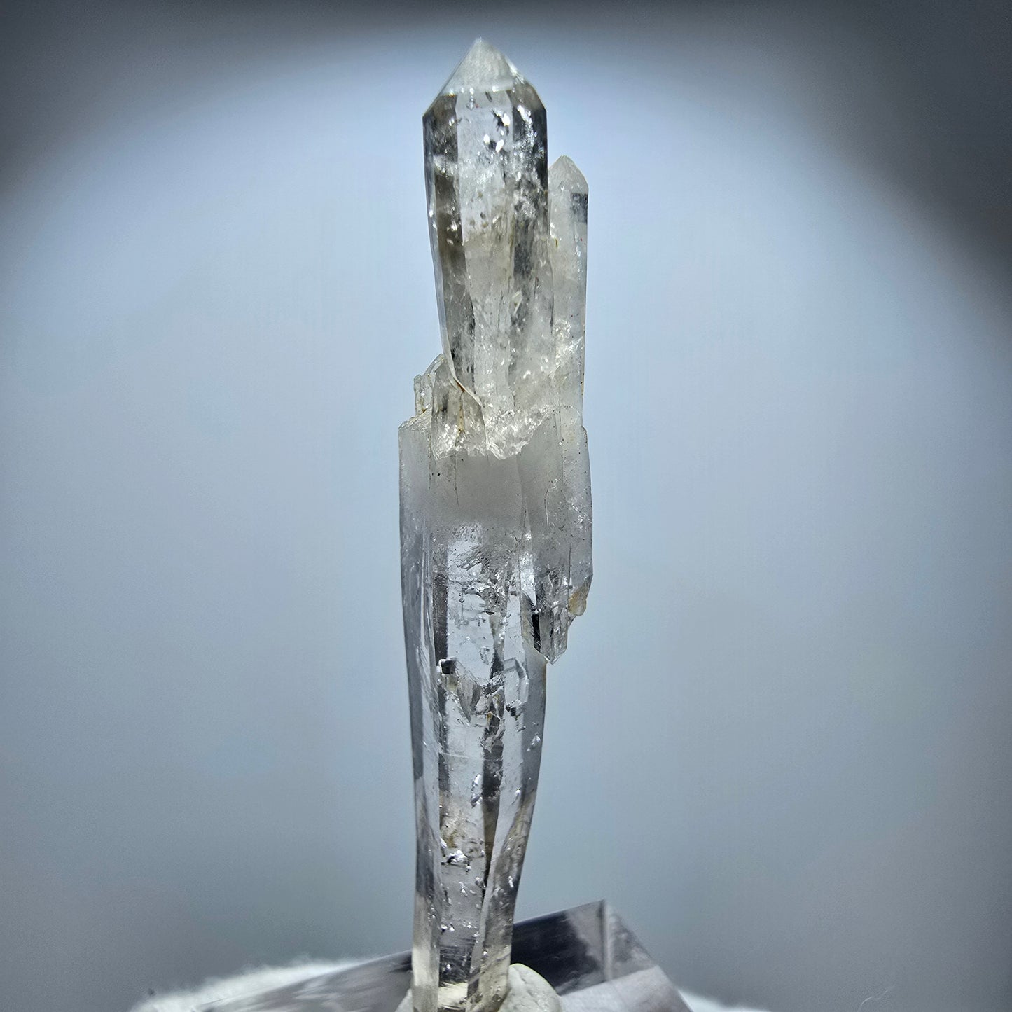 Klare Phantom Rauchquarz DT Zepter Stufe Goboboseb, Namibia 54*11*8mm
