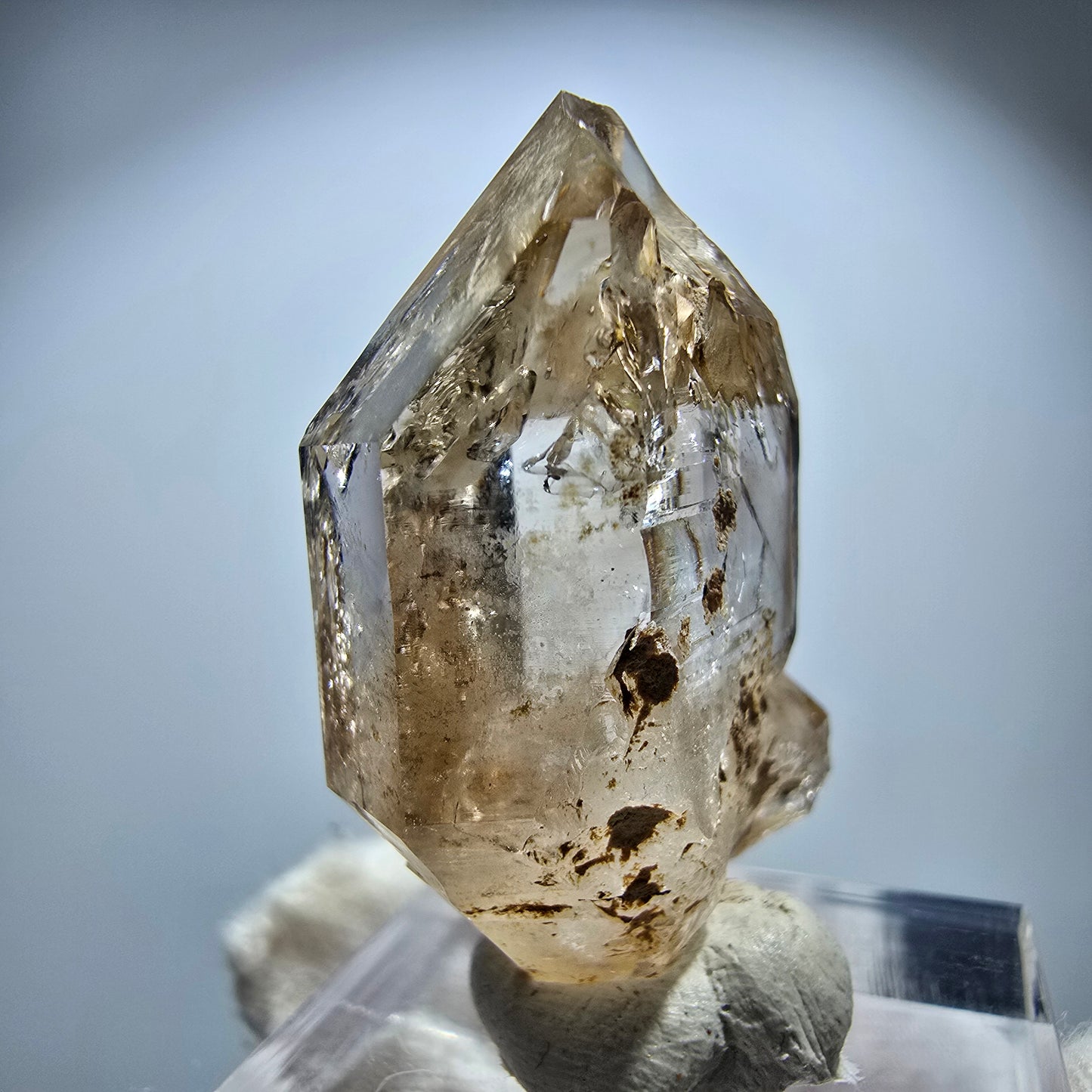 Phantom Rauchquarz DT Fenster Zepter Kristall Goboboseb, Namibia 36*25*13mm