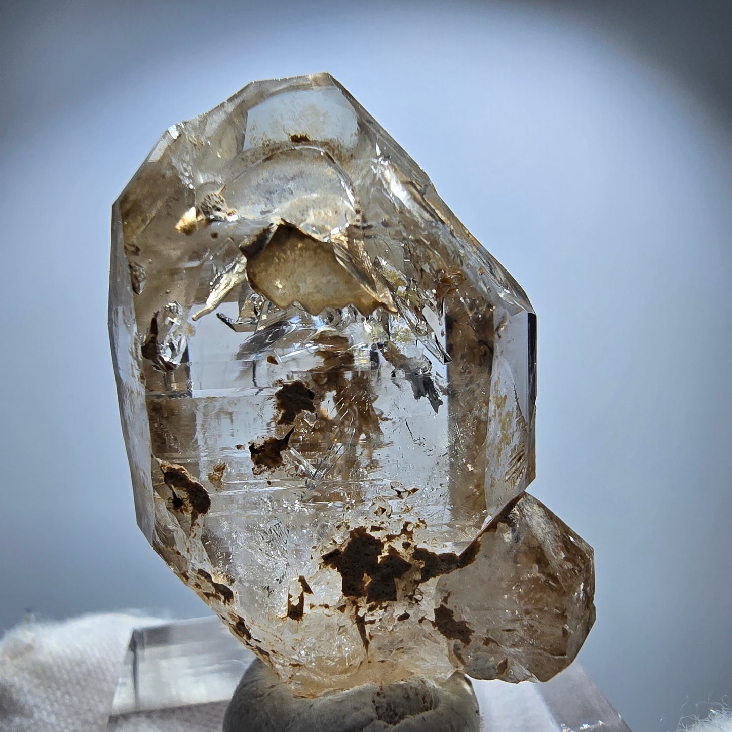 Phantom Rauchquarz DT Fenster Zepter Kristall Goboboseb, Namibia 36*25*13mm