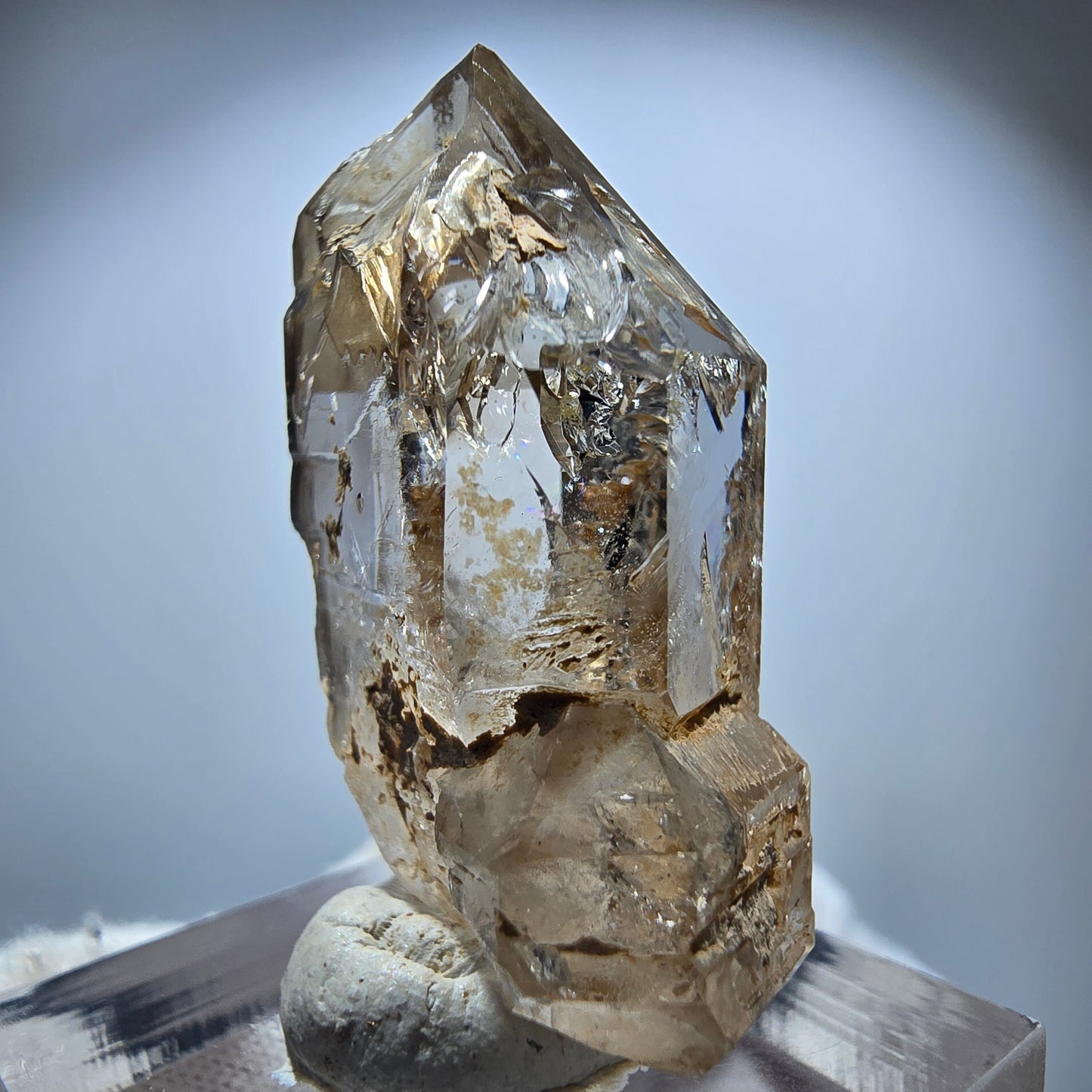 Phantom Rauchquarz DT Fenster Zepter Kristall Goboboseb, Namibia 36*25*13mm