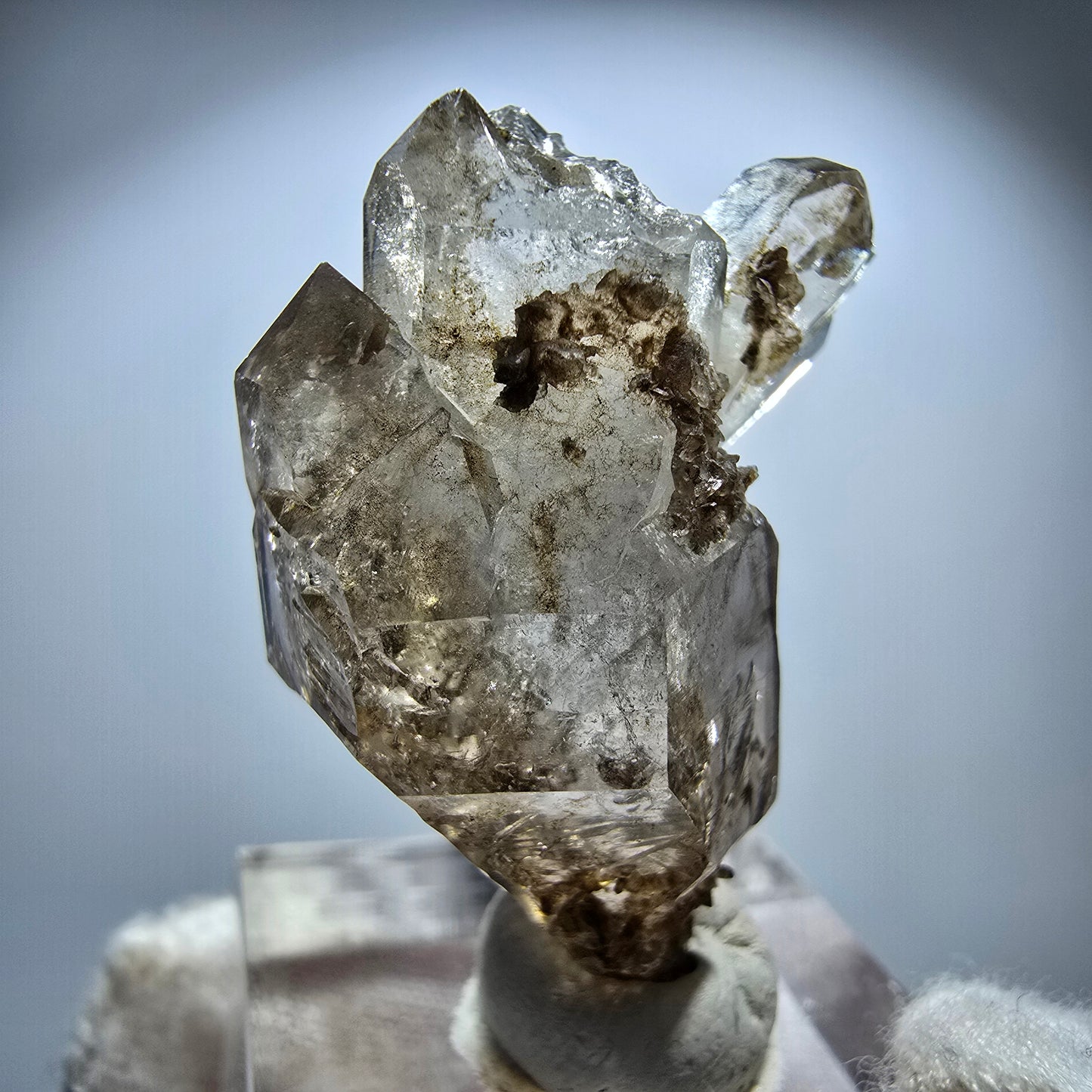 Phantom Rauchquarz DT Skelett Zepter Kristall Goboboseb, Namibia 36*30*19mm