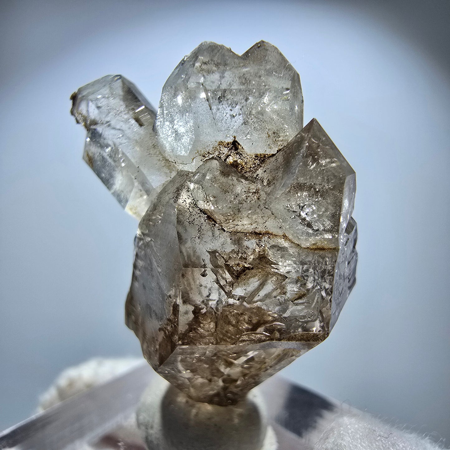 Phantom Rauchquarz DT Skelett Zepter Kristall Goboboseb, Namibia 36*30*19mm