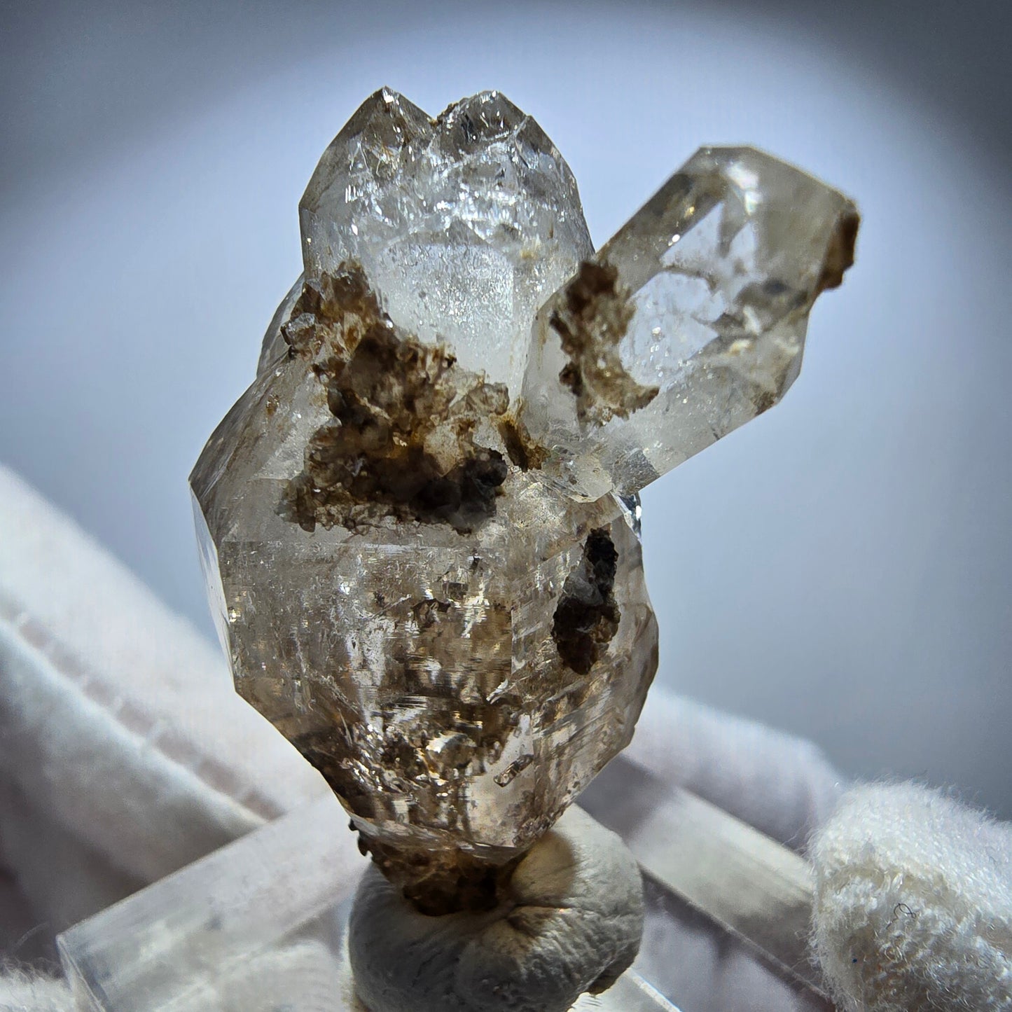 Phantom Rauchquarz DT Skelett Zepter Kristall Goboboseb, Namibia 36*30*19mm