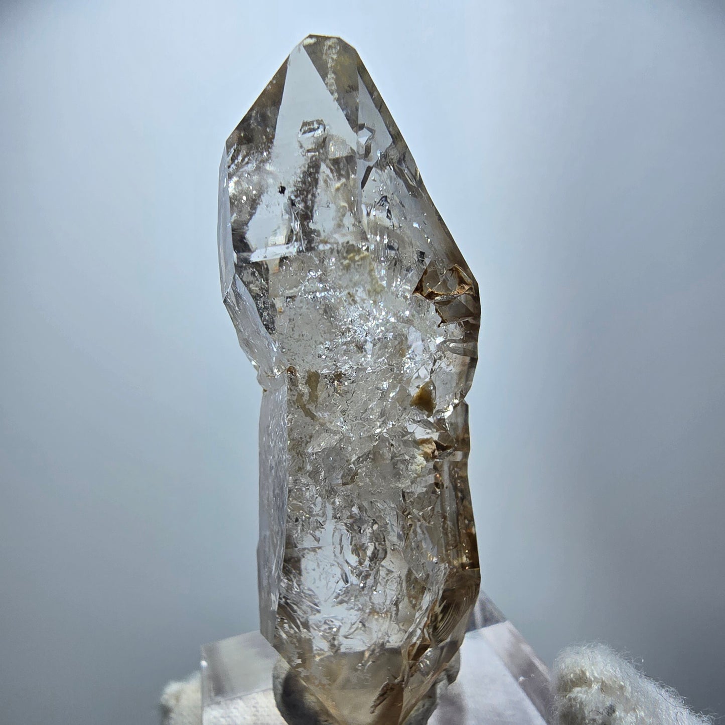 Enhydro Phantom Rauchquarz DT Zepter, 2x Blase Goboboseb, Namibia 50*17*16mm