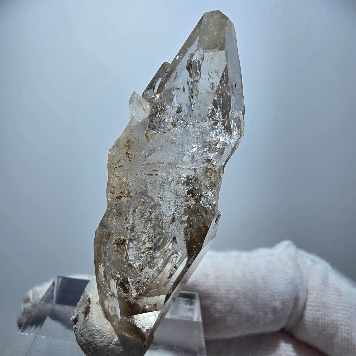Enhydro Phantom Rauchquarz DT Zepter, 2x Blase Goboboseb, Namibia 50*17*16mm