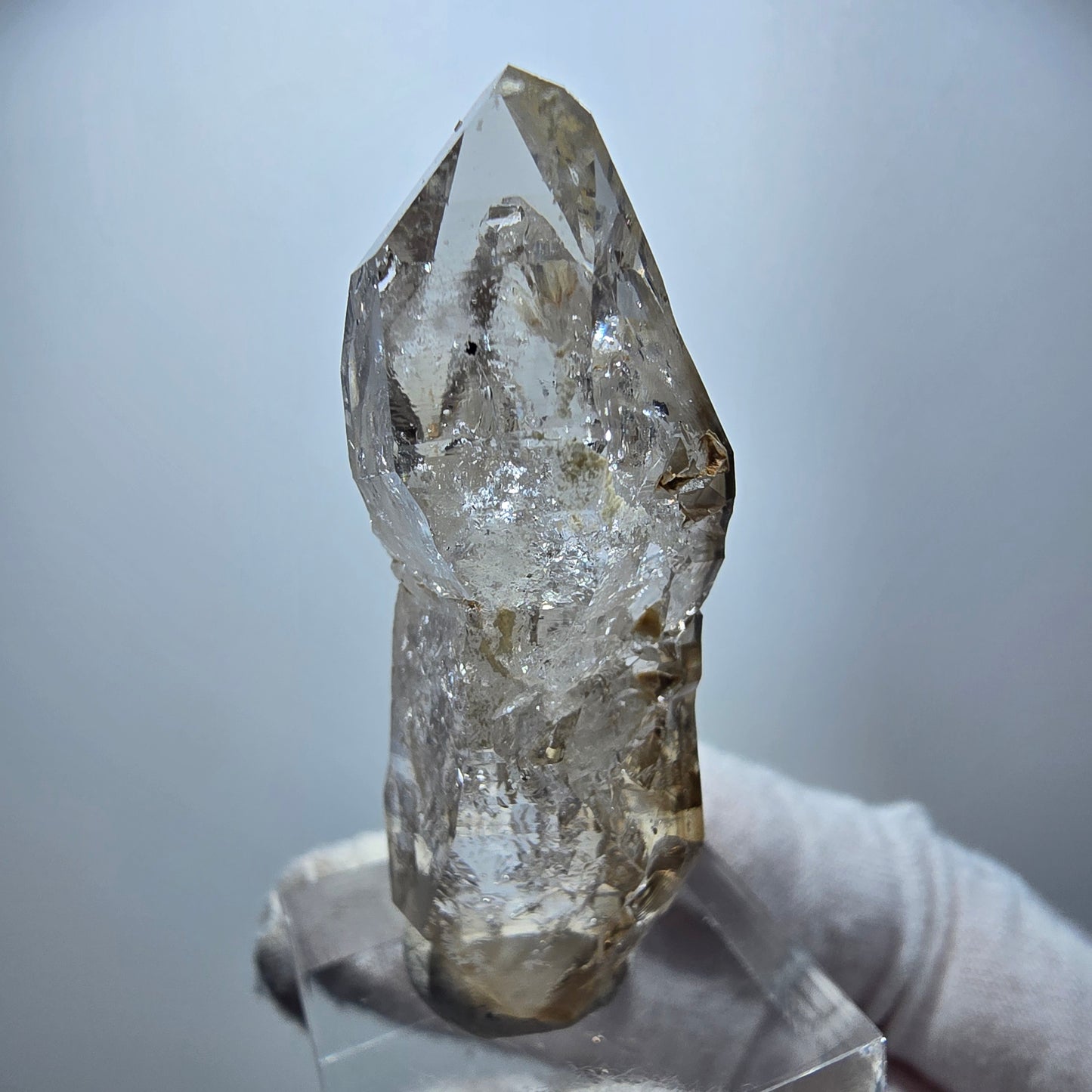 Enhydro Phantom Rauchquarz DT Zepter, 2x Blase Goboboseb, Namibia 50*17*16mm