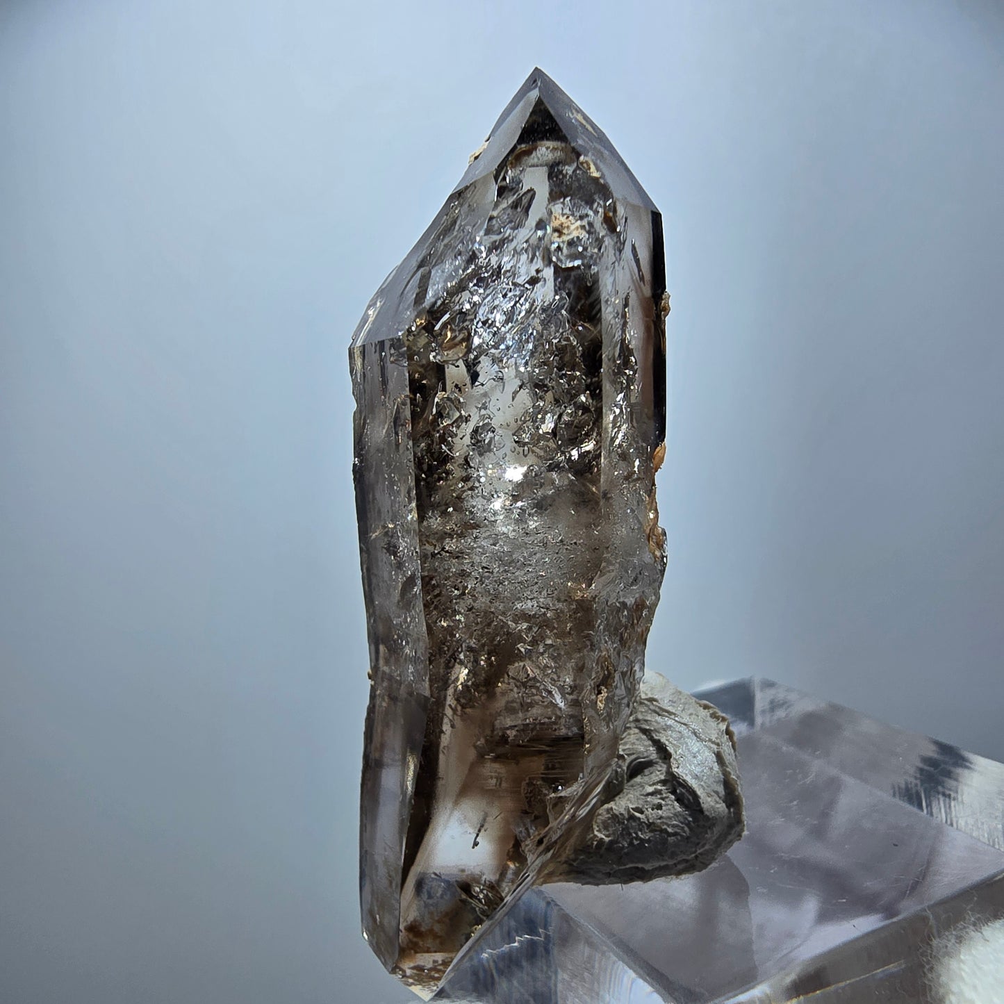 Klare Phantom Rauchquarz DT Zepter Kristall Goboboseb, Namibia 48*16*14mm
