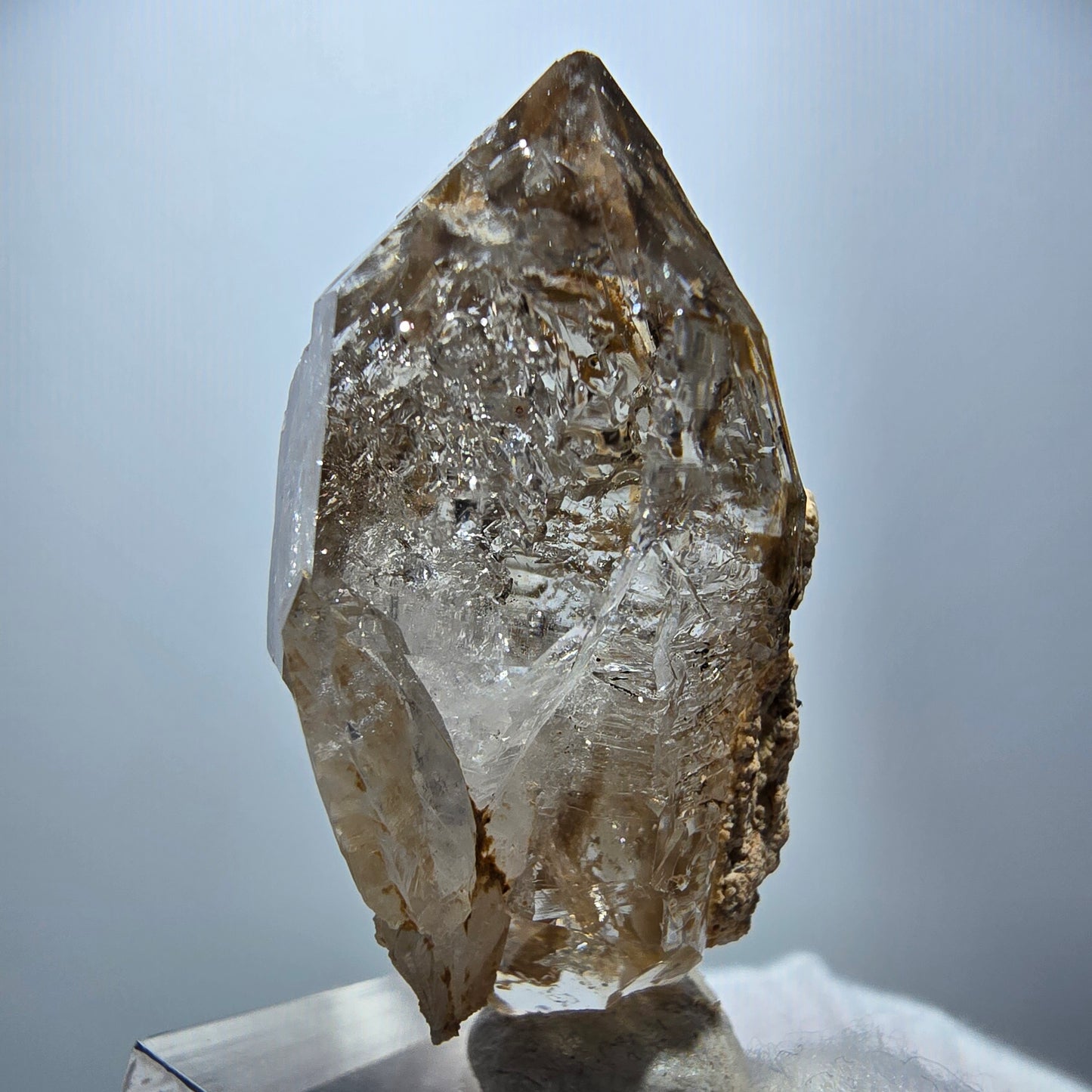 Enhydro Phantom Rauchquarz DT Zepter, 1x Blase Goboboseb, Namibia 45*26*18mm