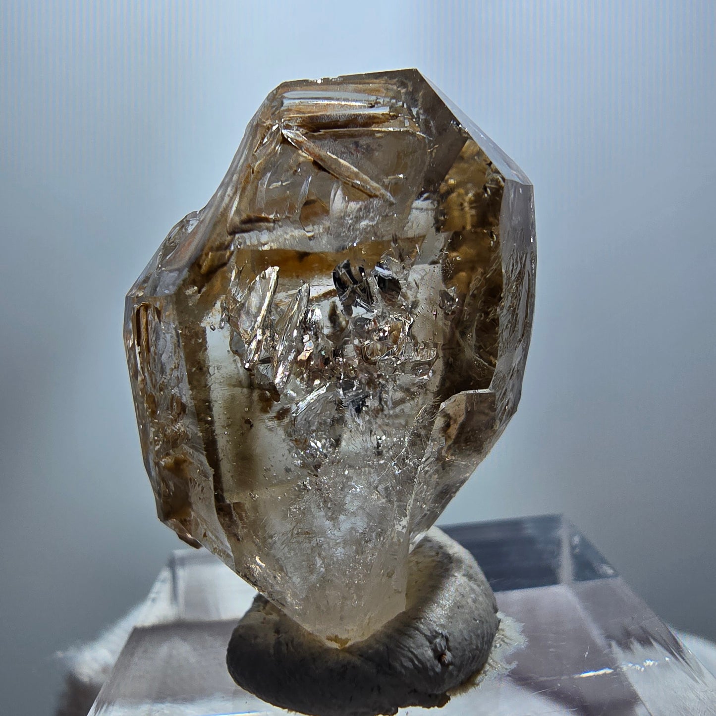 Phantom Rauchquarz DT Skelett Zepter Kristall Goboboseb, Namibia 28*21*13mm