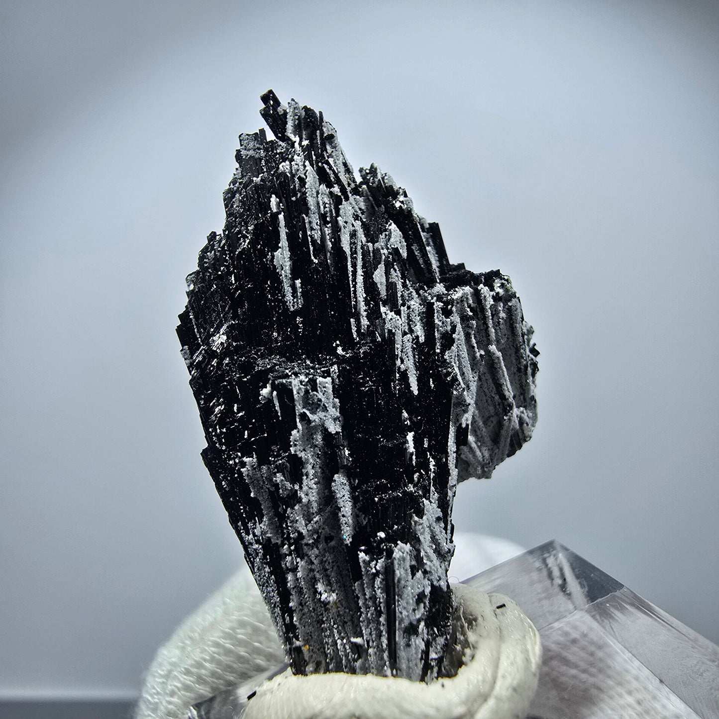 Magnifique spécimen de tourmaline Schorl et de quartz, Erongo, Namibie, 37 x 24 x 15 mm