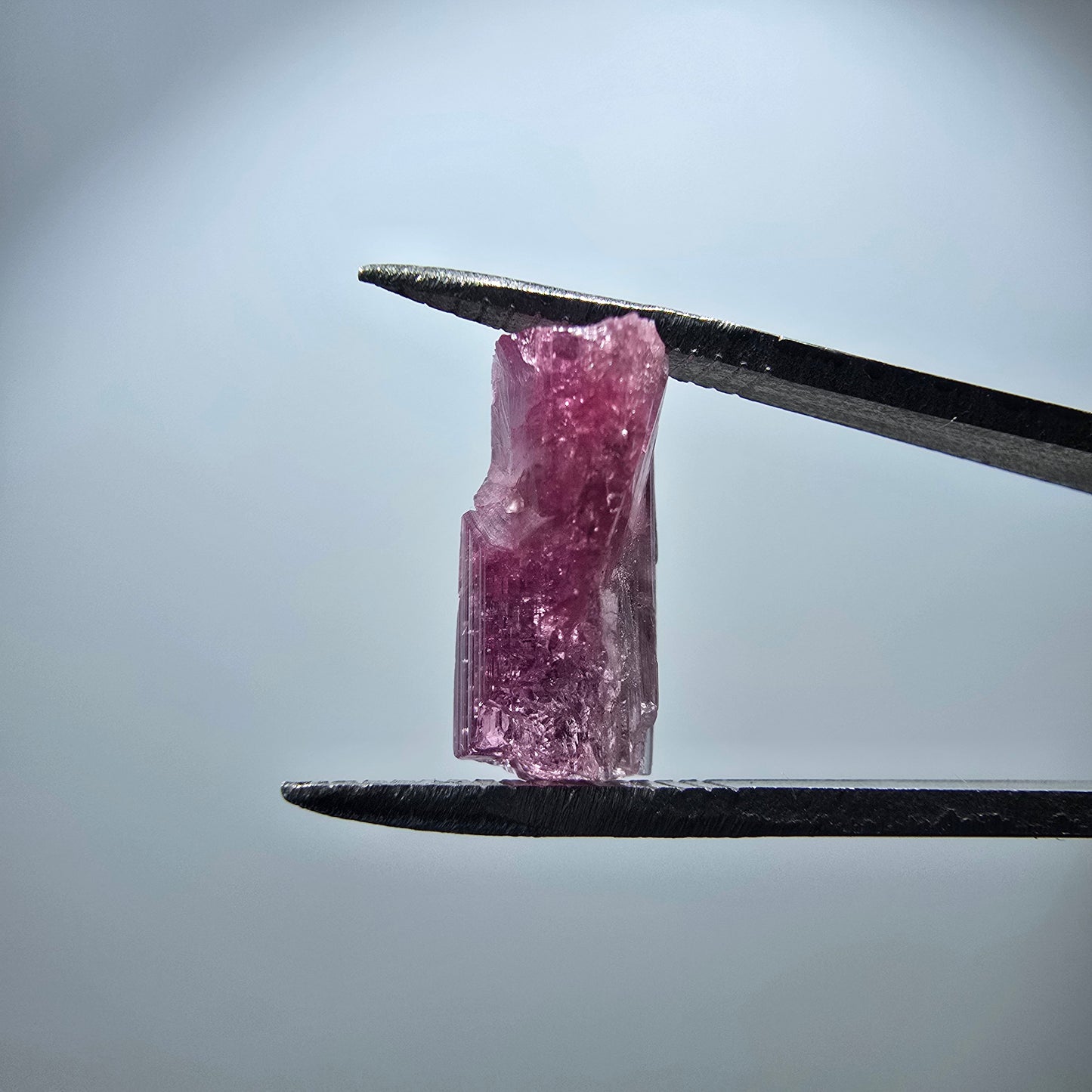 Cristal de tourmaline rubellite rare, rose Minas Gerais, Brésil 13 x 8 x 6 mm